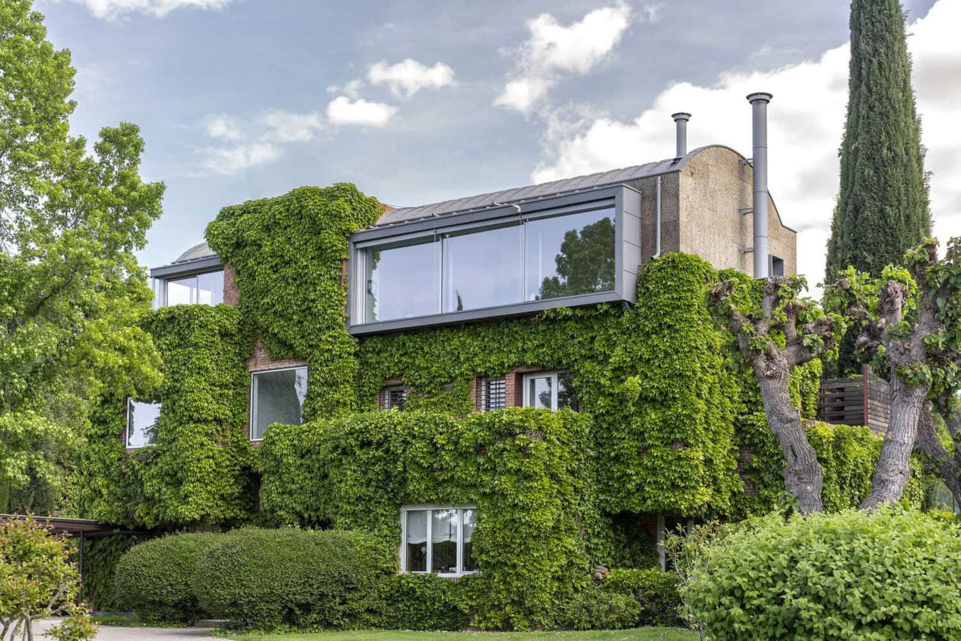 A modern house exterior covered in green ivy plants with large glass windows and chimney stacks.