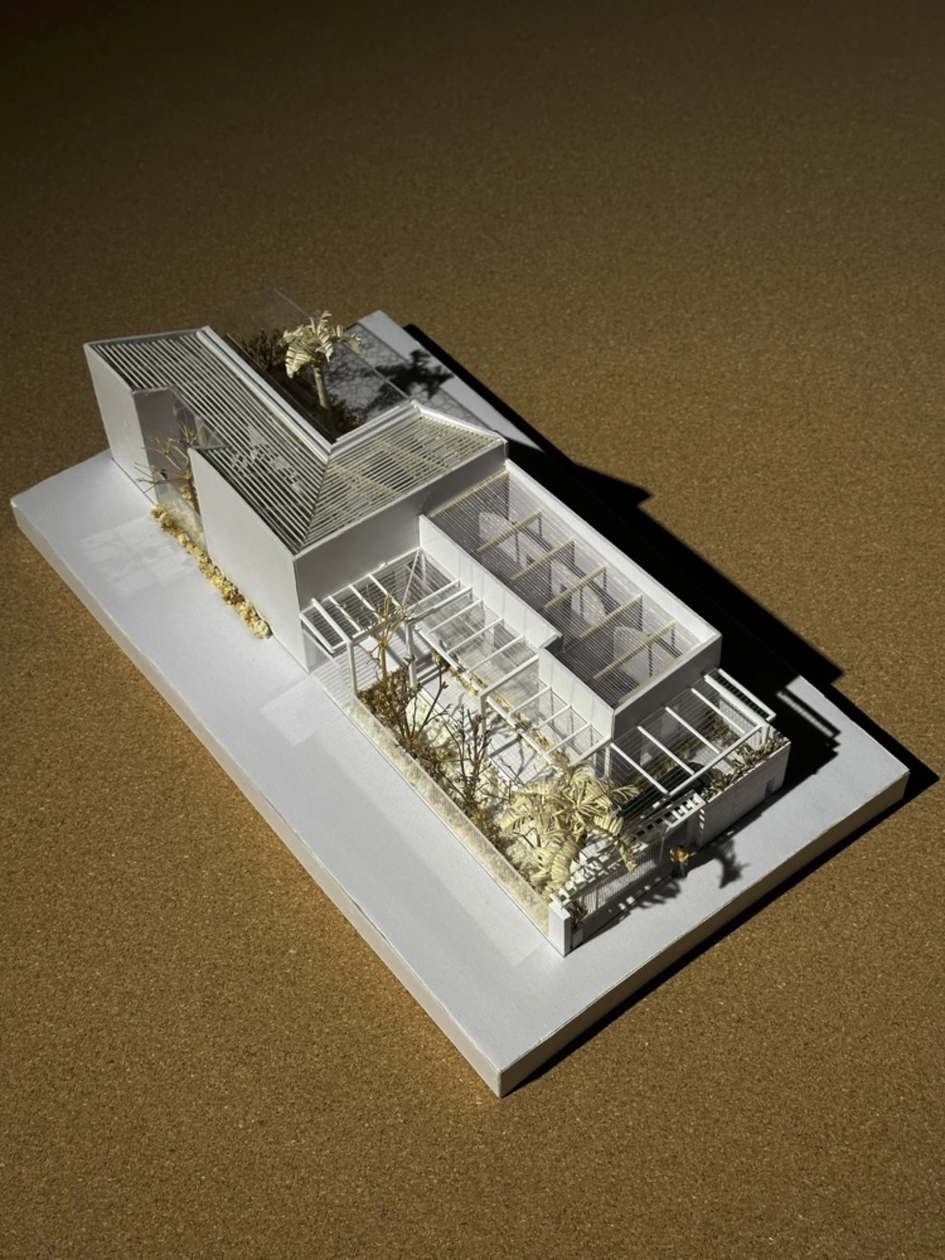 Modern residential greenhouse with glass walls and concrete base