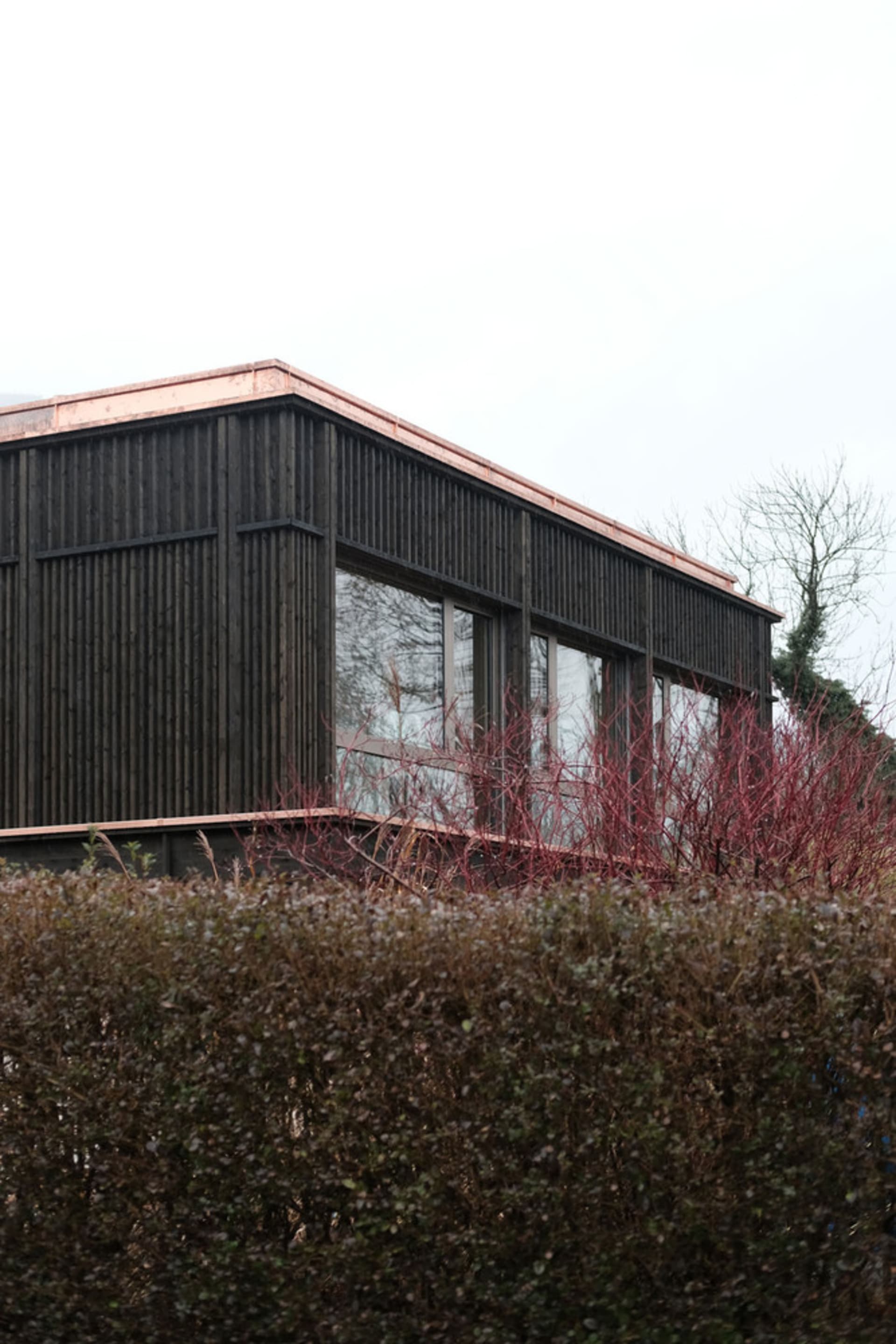 A modern building with black cladding and a copper roof, viewed from the side.
