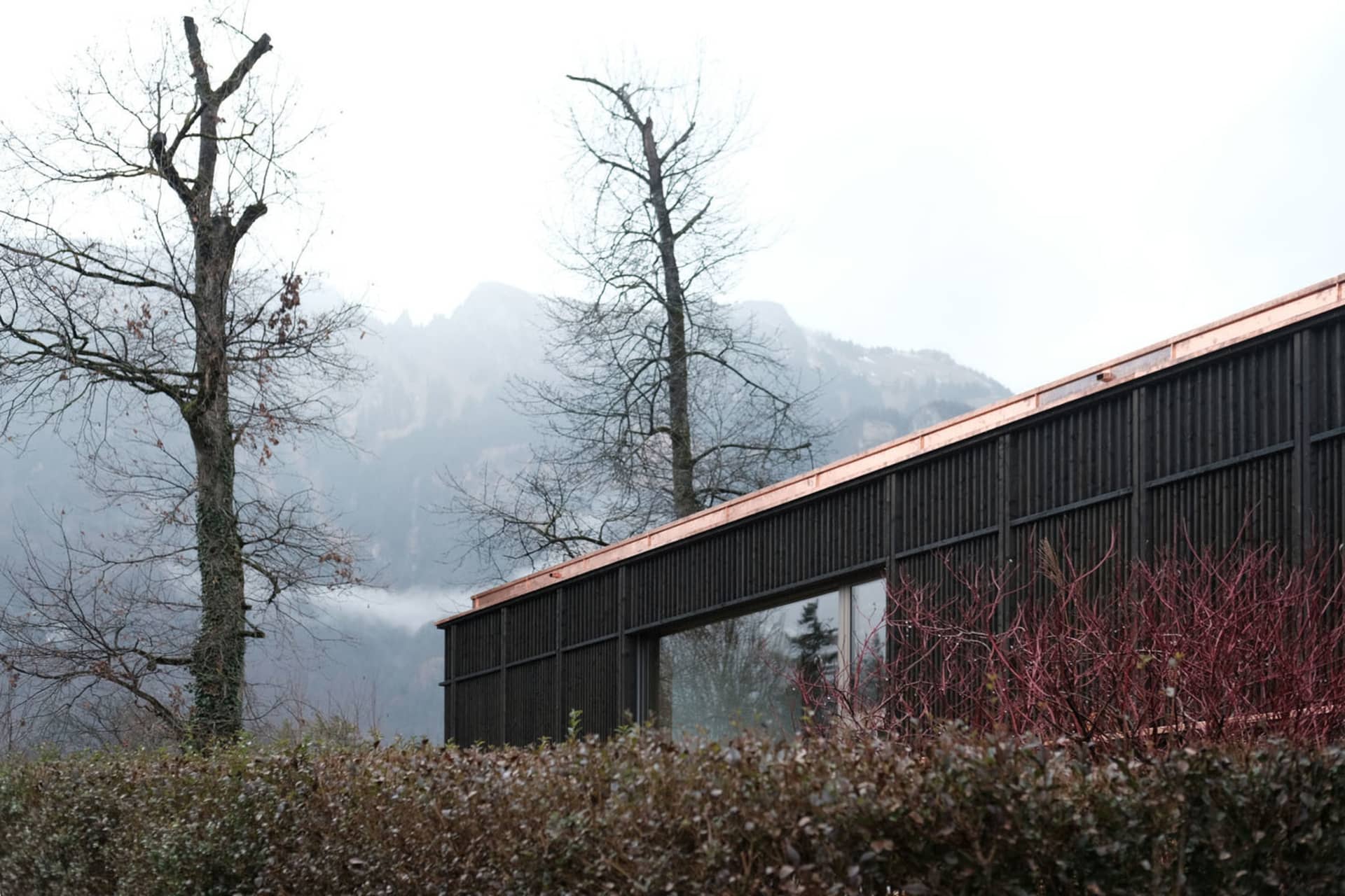 一座現代住宅建築,採用黑色板材與銅屋頂。