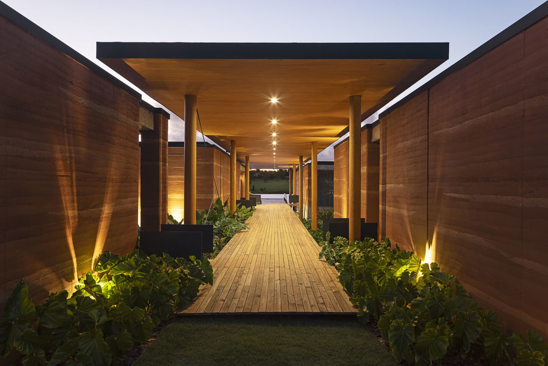 A modern retail storefront with wooden walls and led lighting at dusk, featuring lush foliage along the sides of the pathway.
