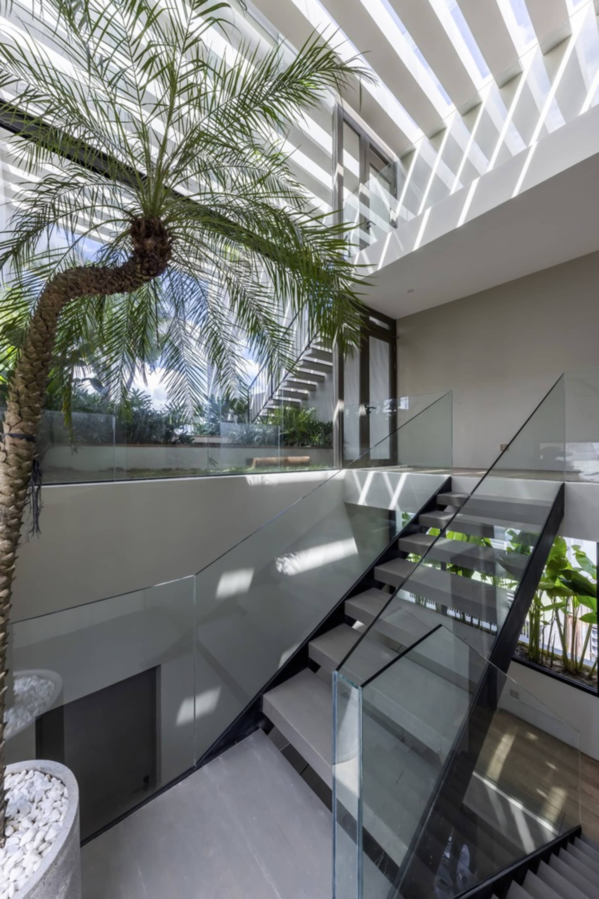 Modern staircase with glass railings and palm tree in indoor courtyard.