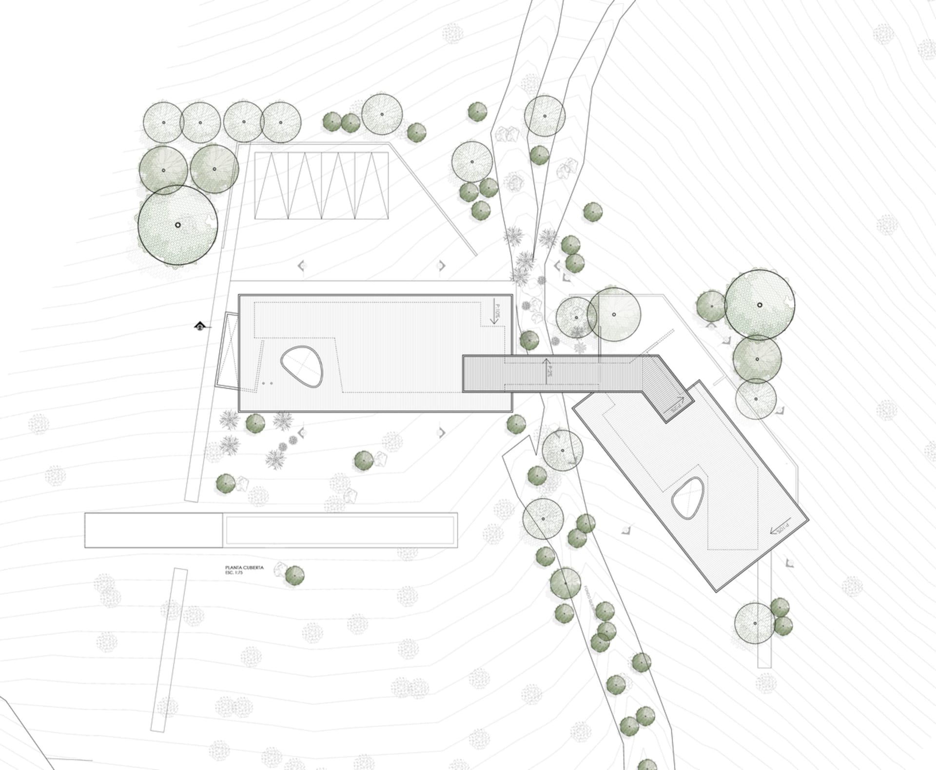 Floor plan of a landscape design showing layout and plantings.