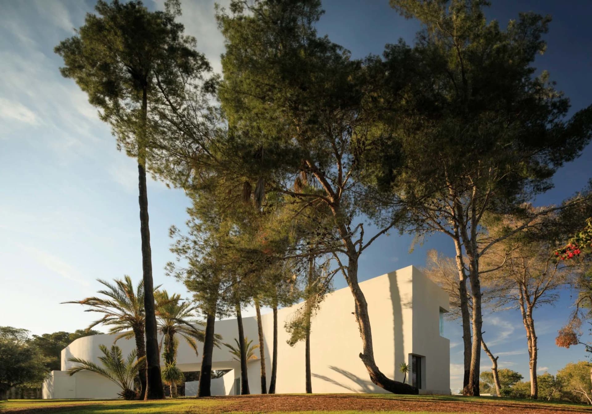 A modern white concrete exterior building surrounded by trees and greenery.