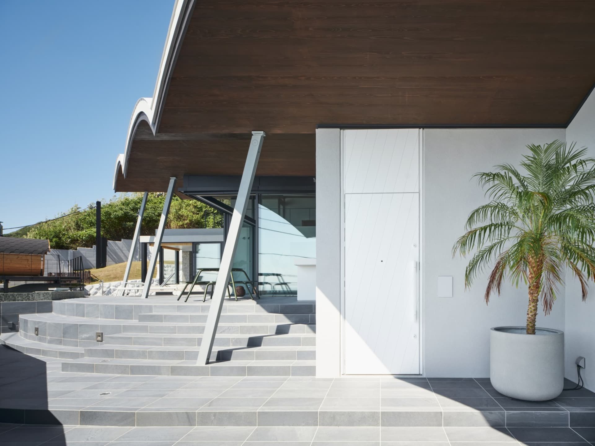 Modern residential entrance featuring a white door, concrete steps, and a potted palm plant.