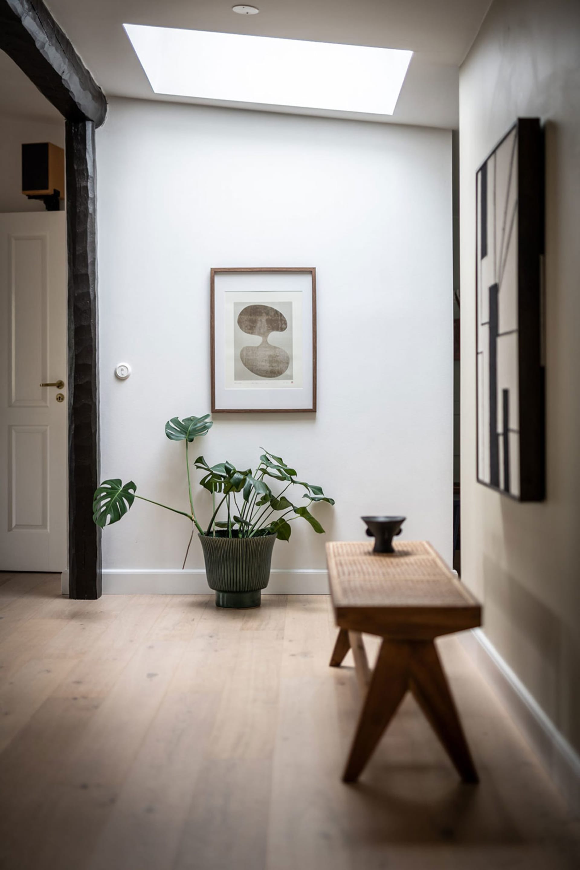 A minimalist interior space featuring a wooden floor with a plant and a wooden bench.