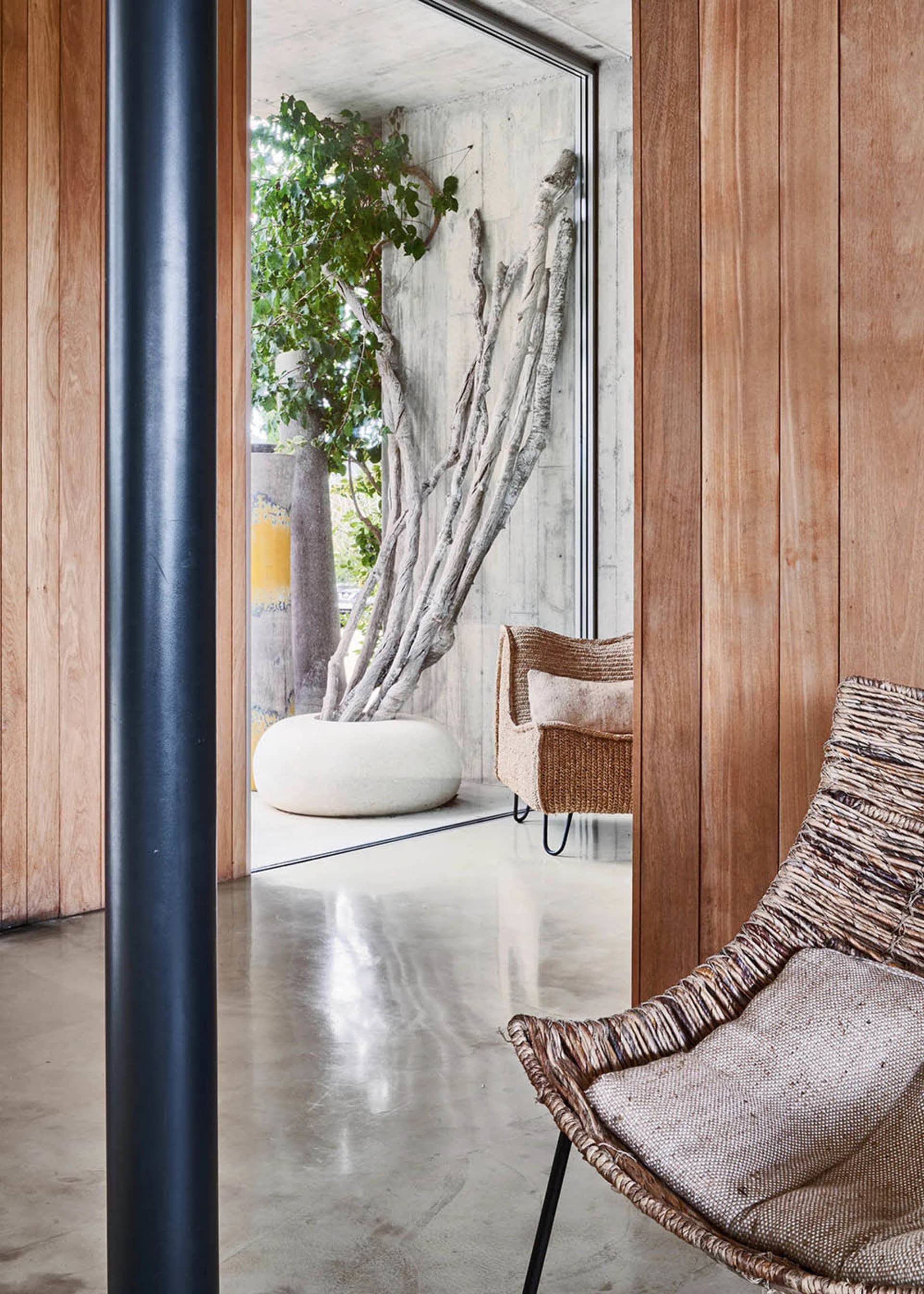Modern minimalist living room with natural wood paneling, concrete floors, and potted plants in unique planters