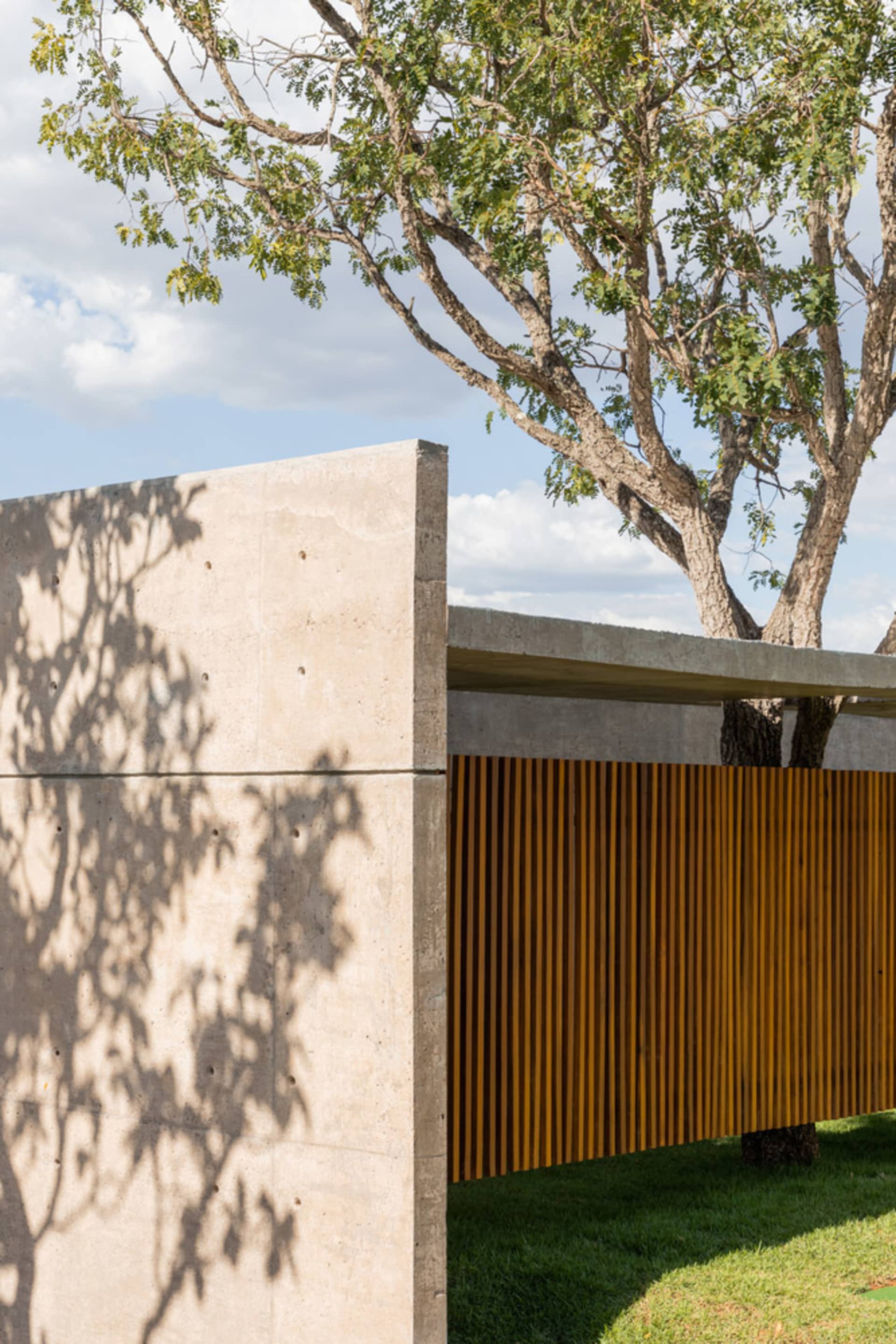 Modern house with concrete walls and wooden accents under a tree on a sunny day.
