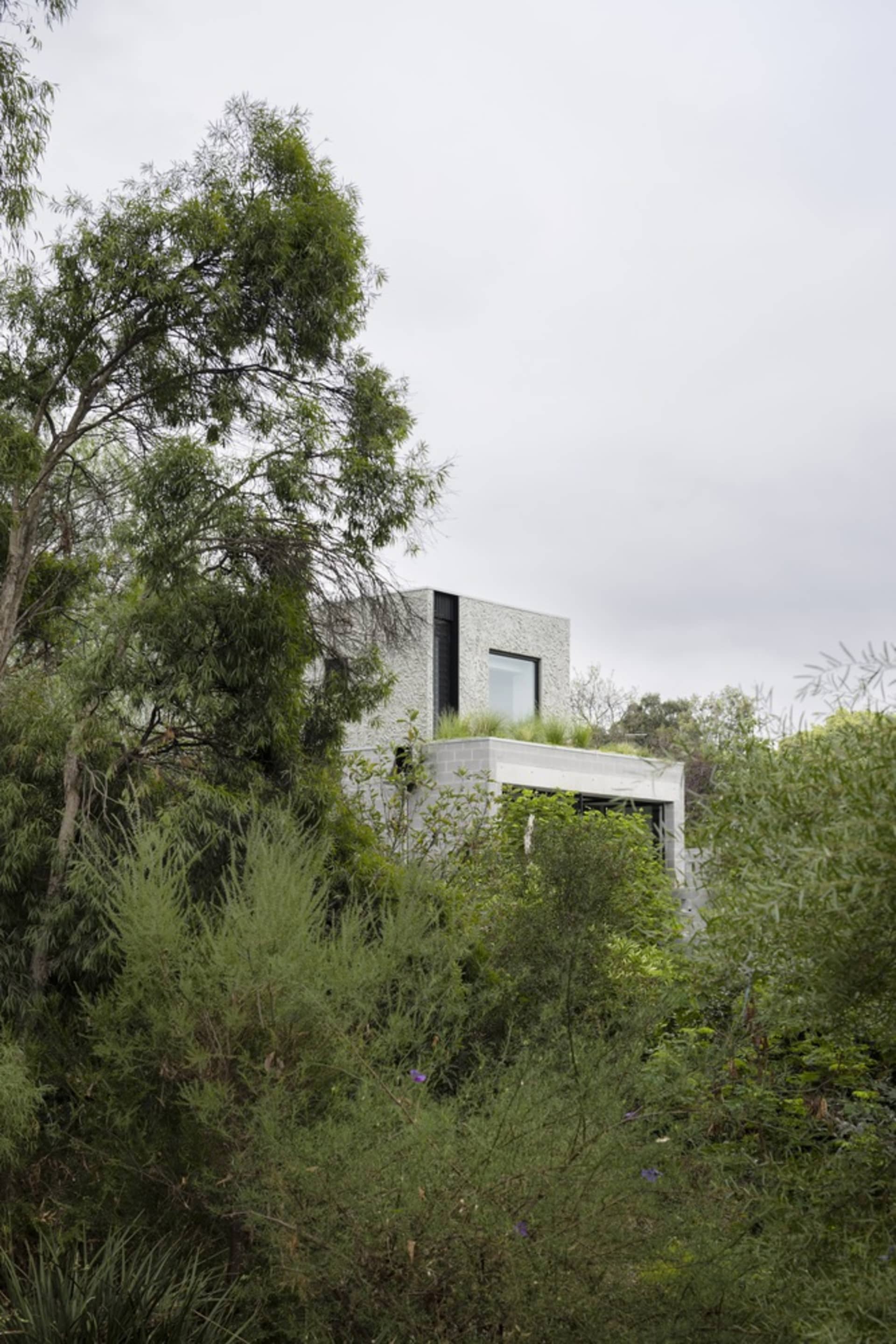Modern house with concrete exterior surrounded by greenery.