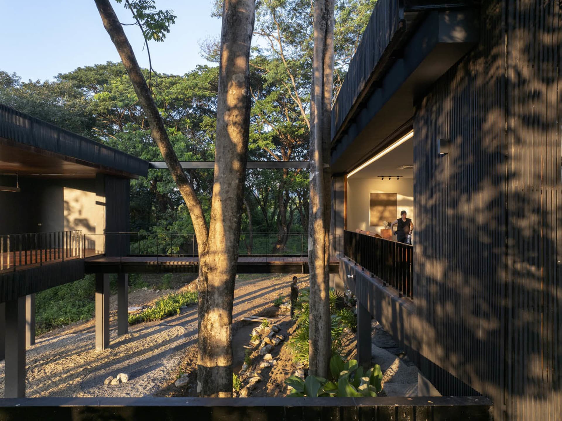 Modern house with metal exterior surrounded by trees and gravel path.