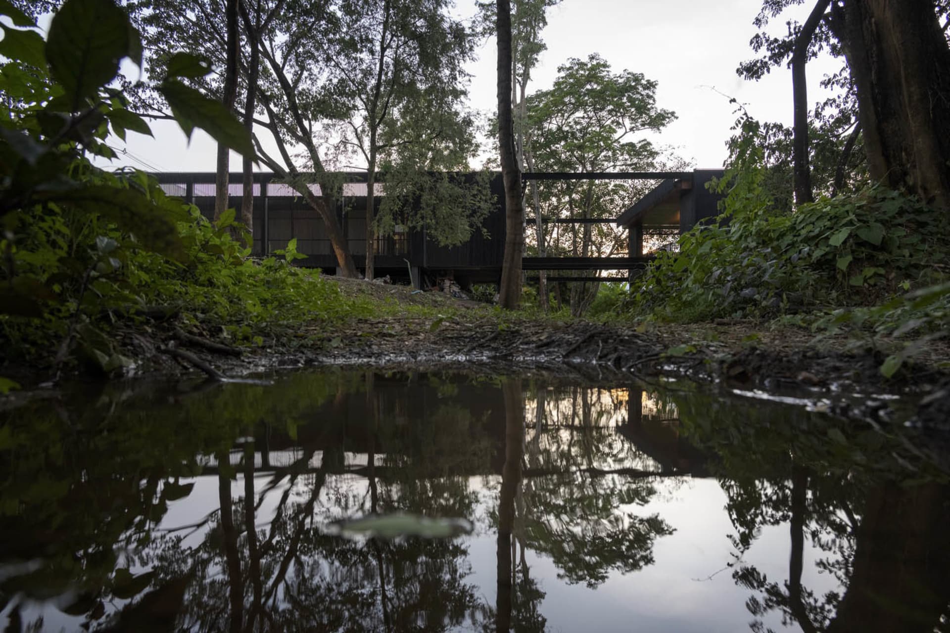 Modern house reflected in a serene body of water surrounded by lush greenery and trees.