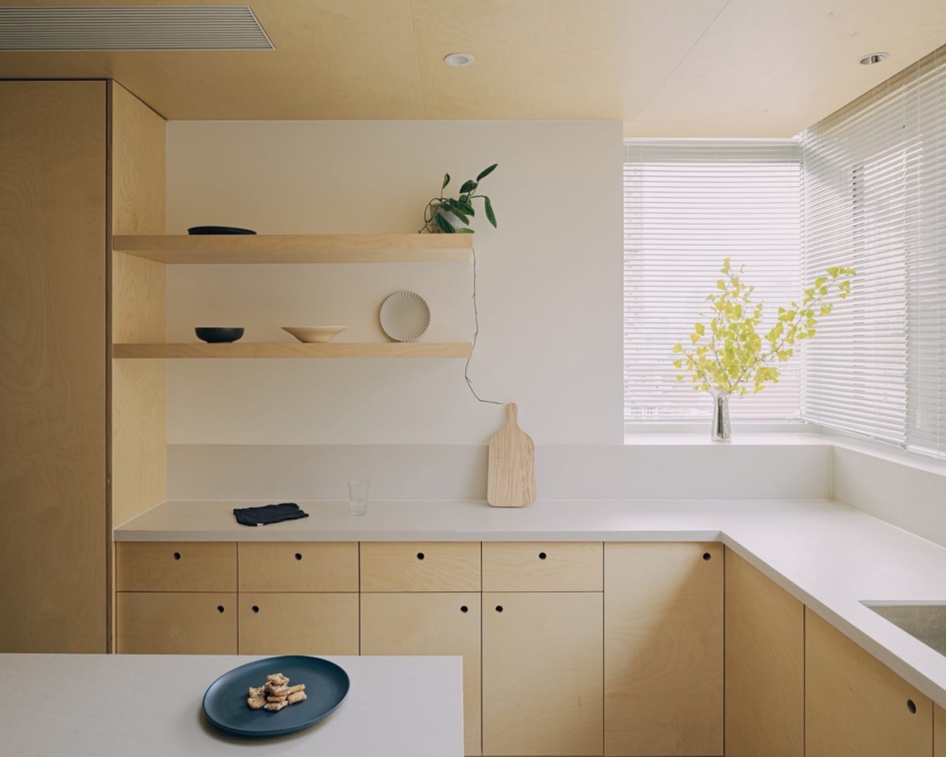 A minimalist small kitchen featuring wood cabinets, minimalist design, and clean lines.
