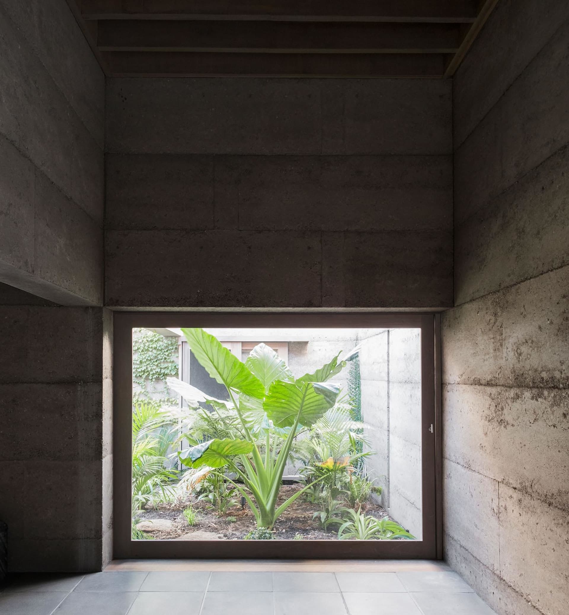 A modern interior space with concrete walls and a view of a lush green garden.
