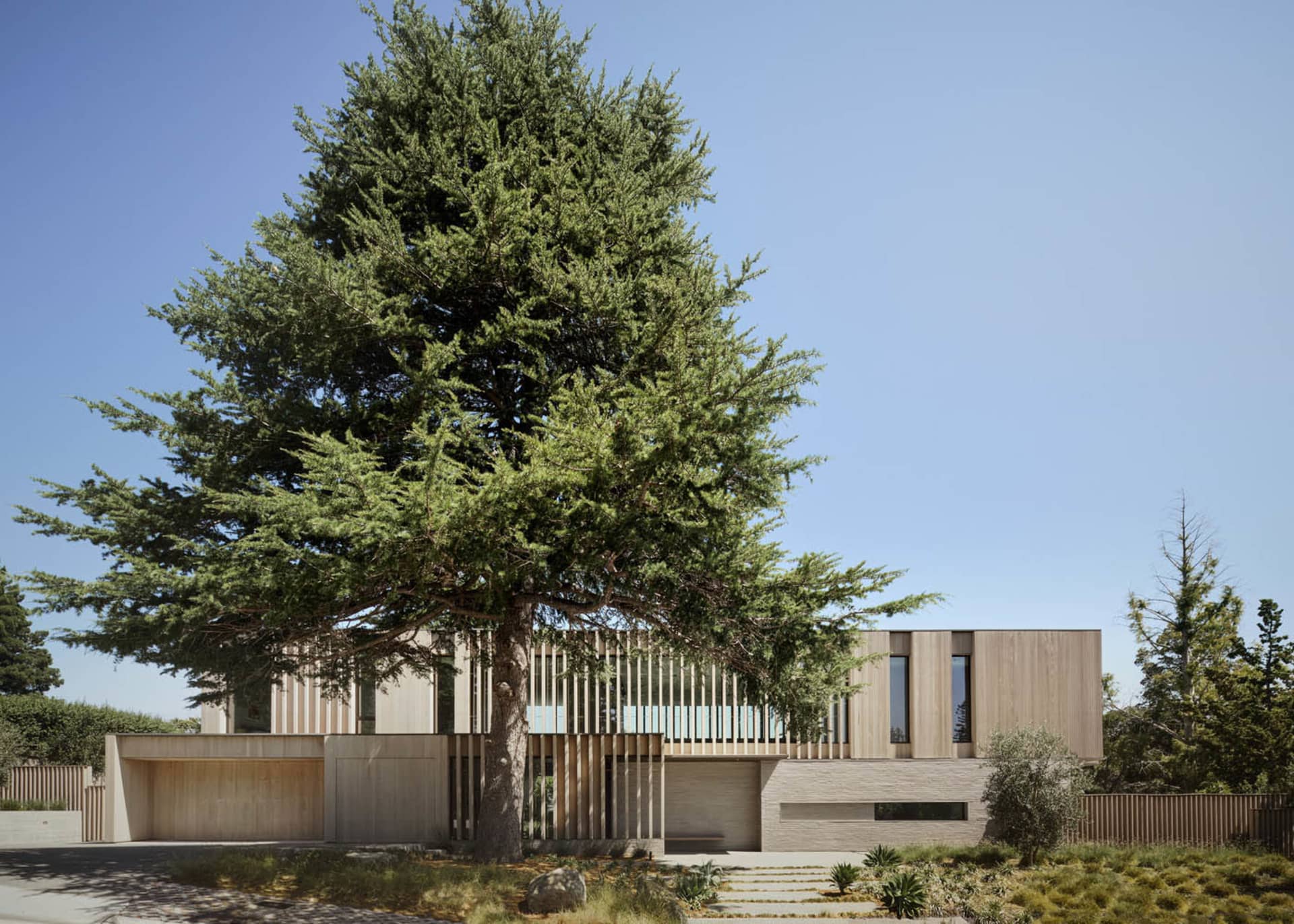 Modern residential exterior with wooden materials and a large tree in the foreground.