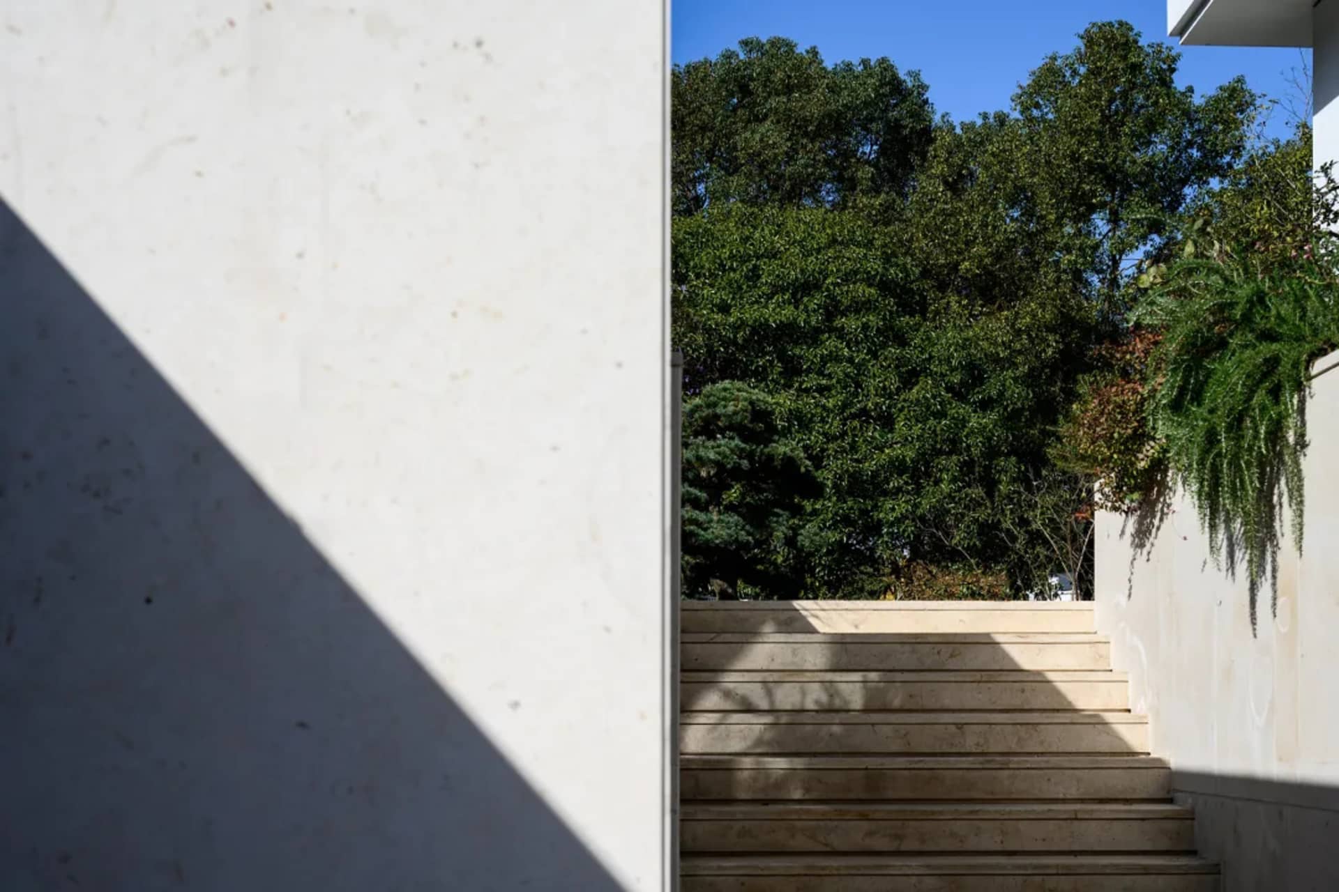Modern stone staircase surrounded by greenery on a sunny day.