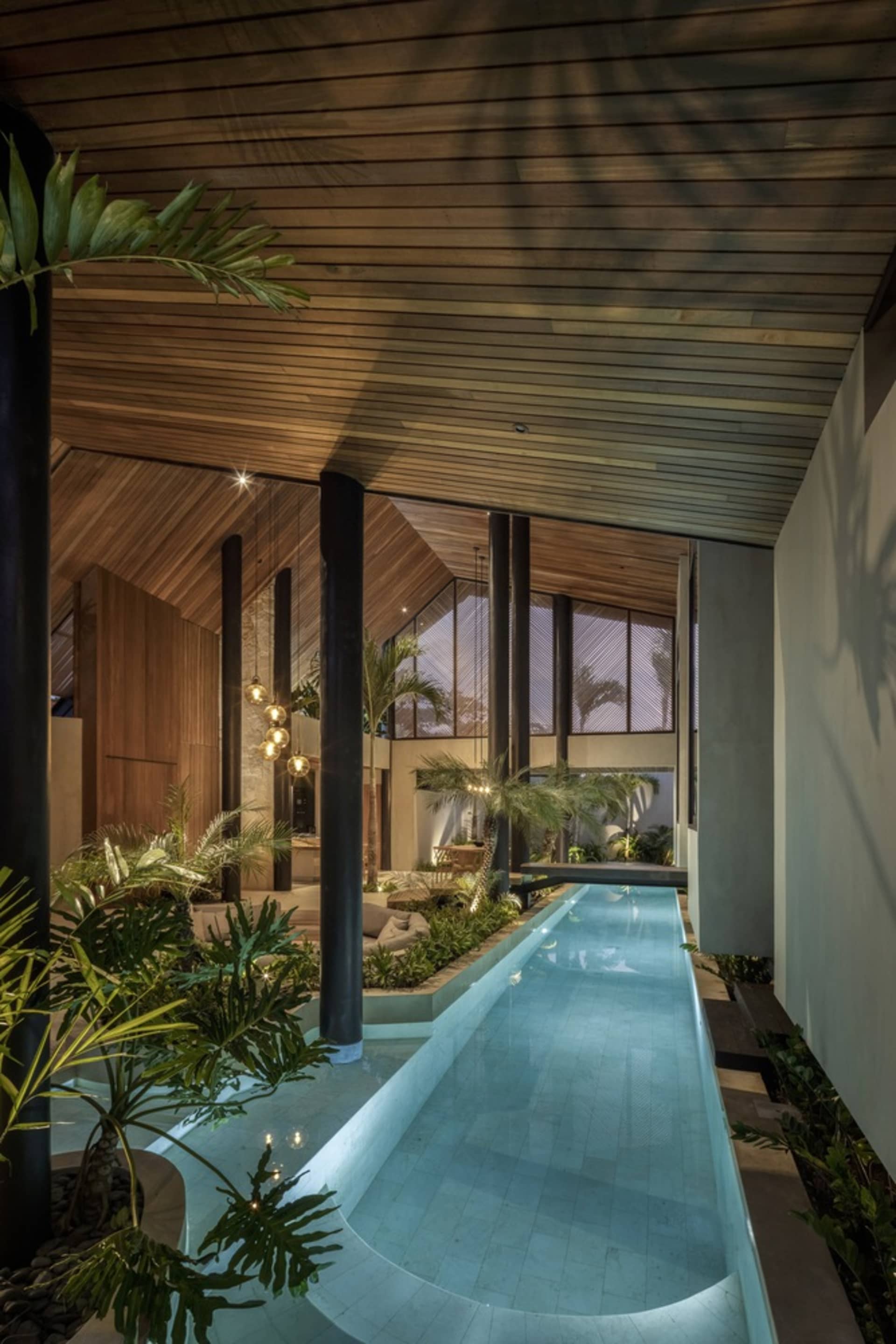 Modern residential interior featuring concrete and plants