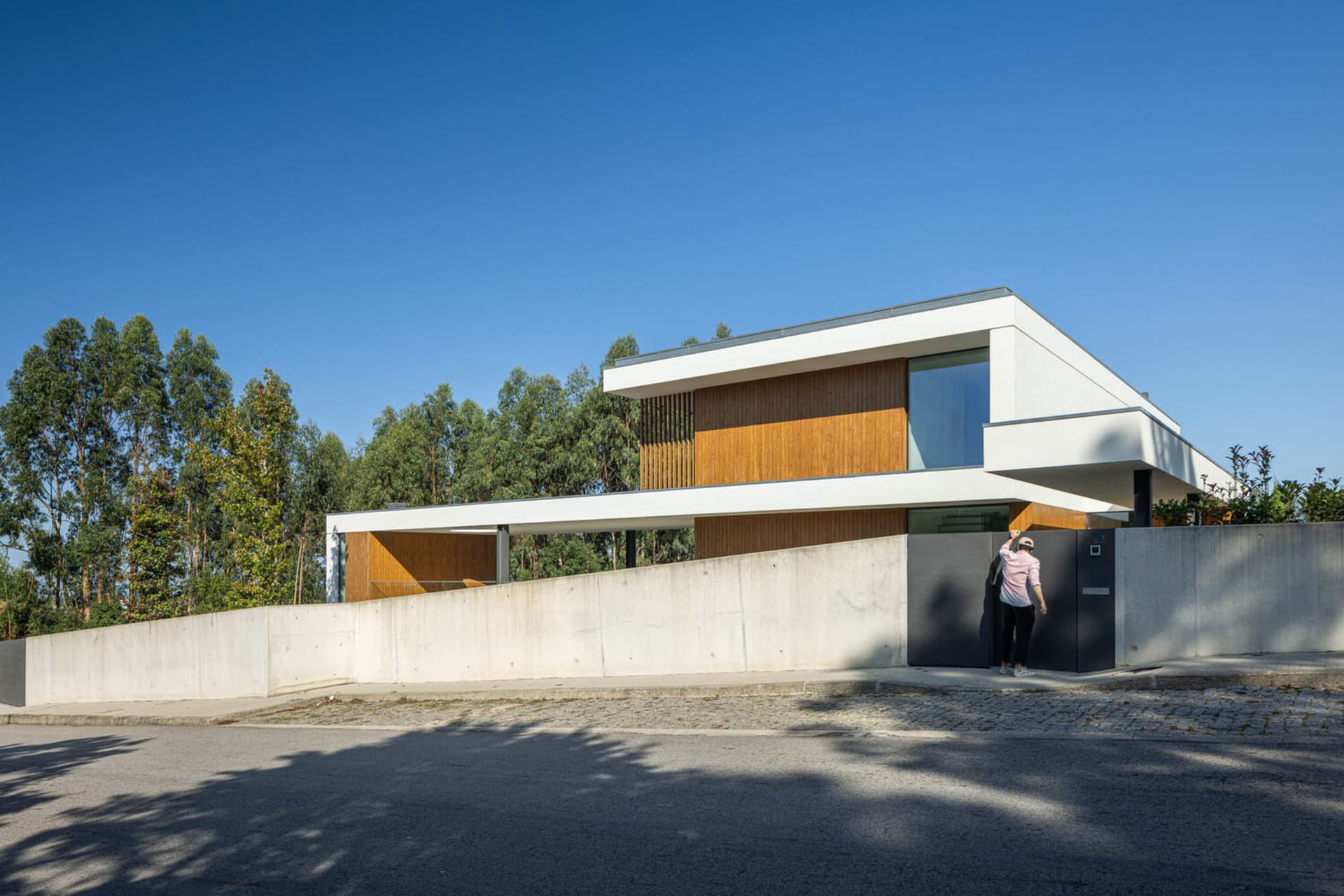 Modern residential exterior featuring concrete, glass, and wood materials.