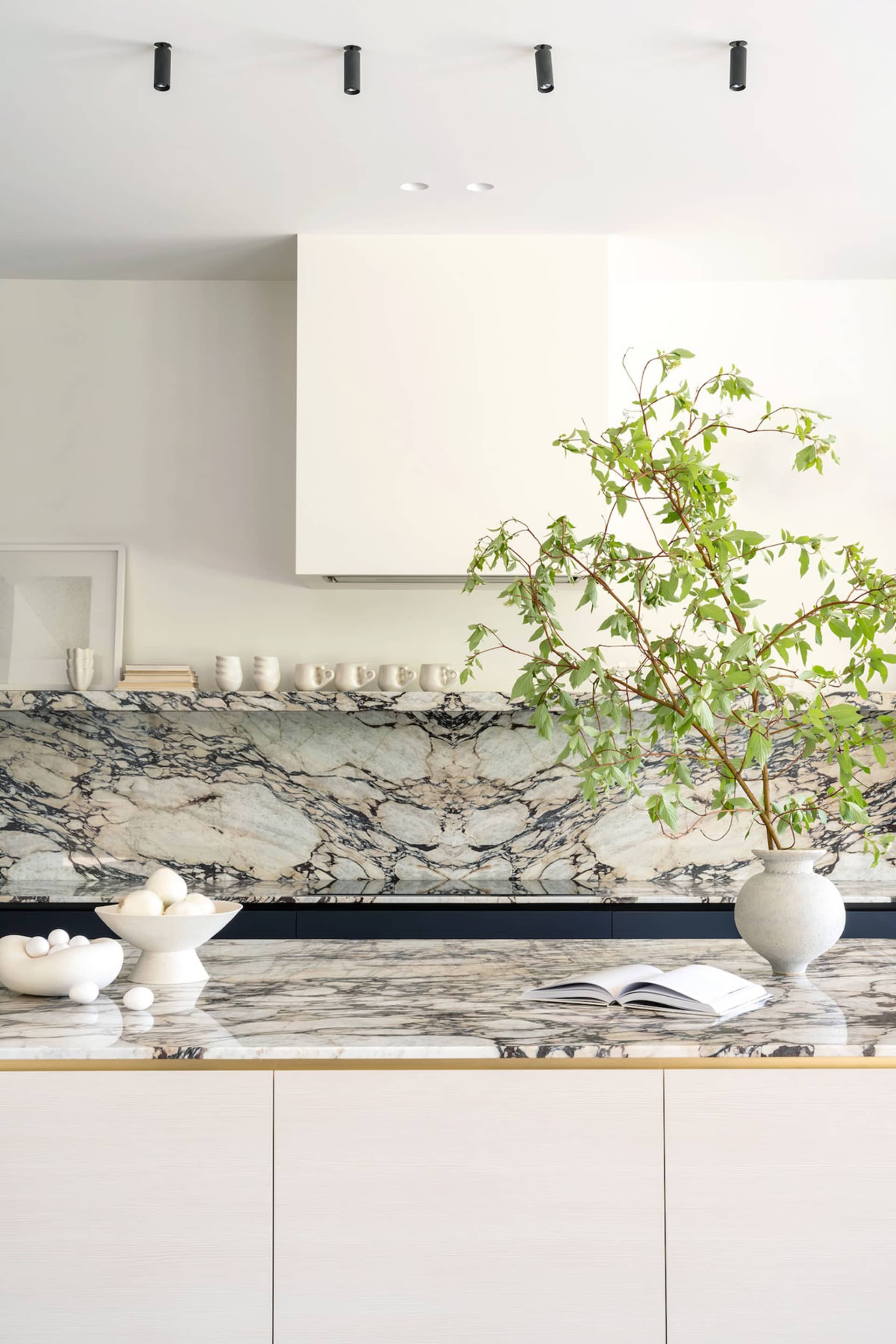 Modern kitchen featuring a marble countertop and backsplash with white cabinets and greenery.
