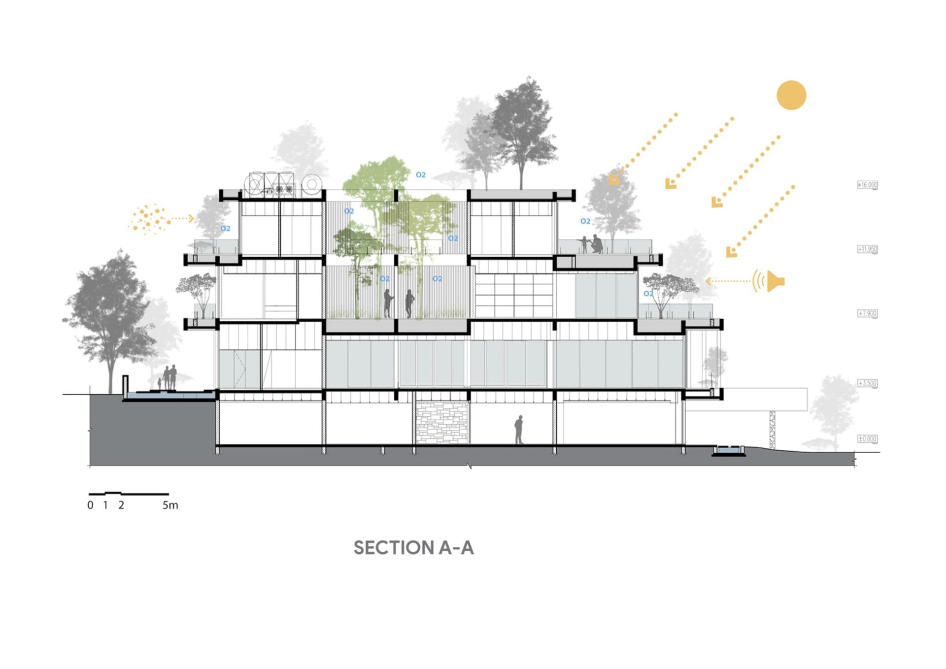現代建築的剖面建築圖,展示梯田式植栽與開放空間。