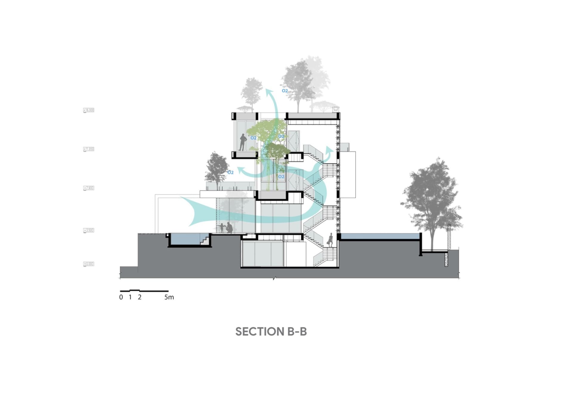 現代住宅剖面圖,展示室內設計與建築特色。