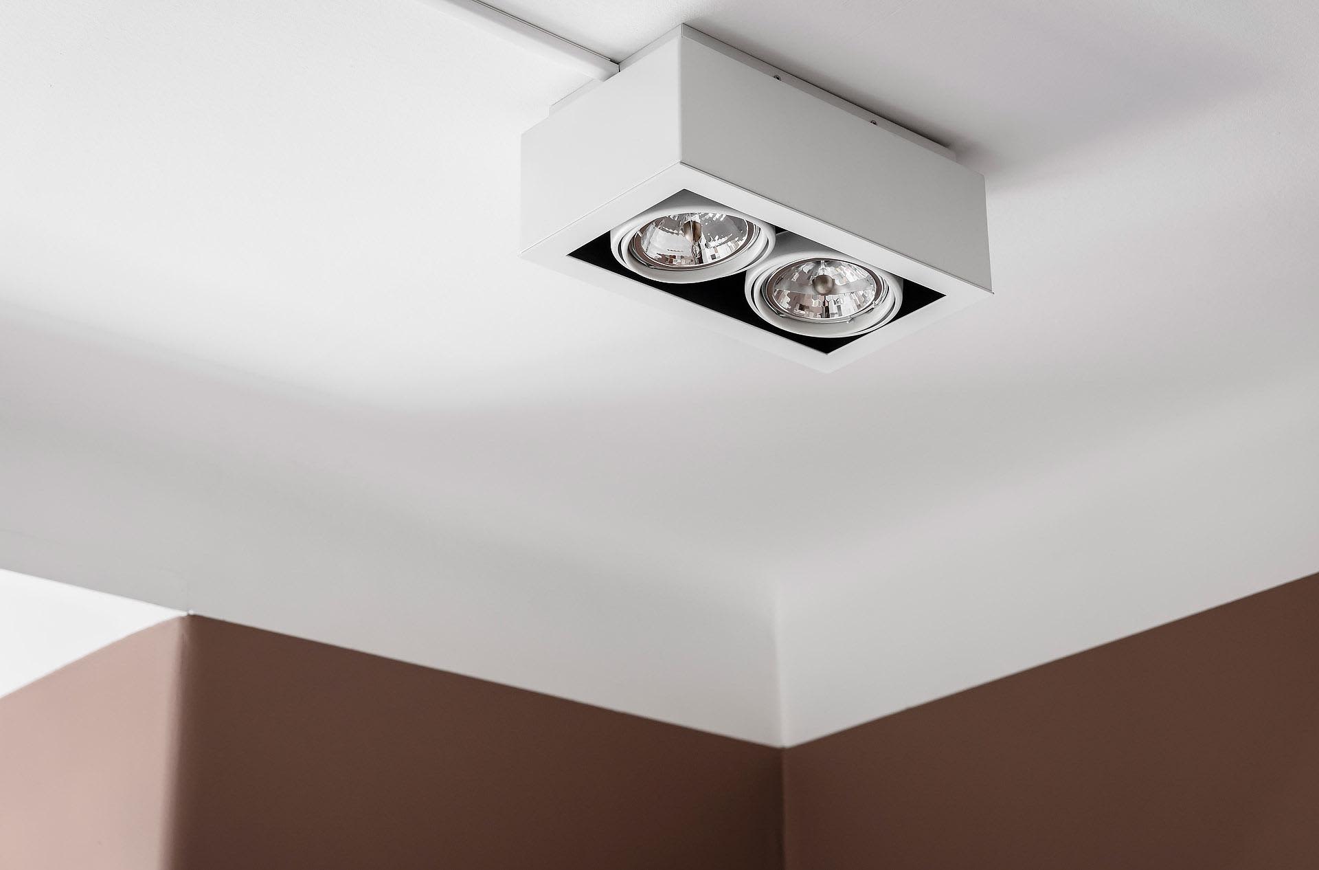 A white ceiling-mounted downlight fixture with two bulbs.