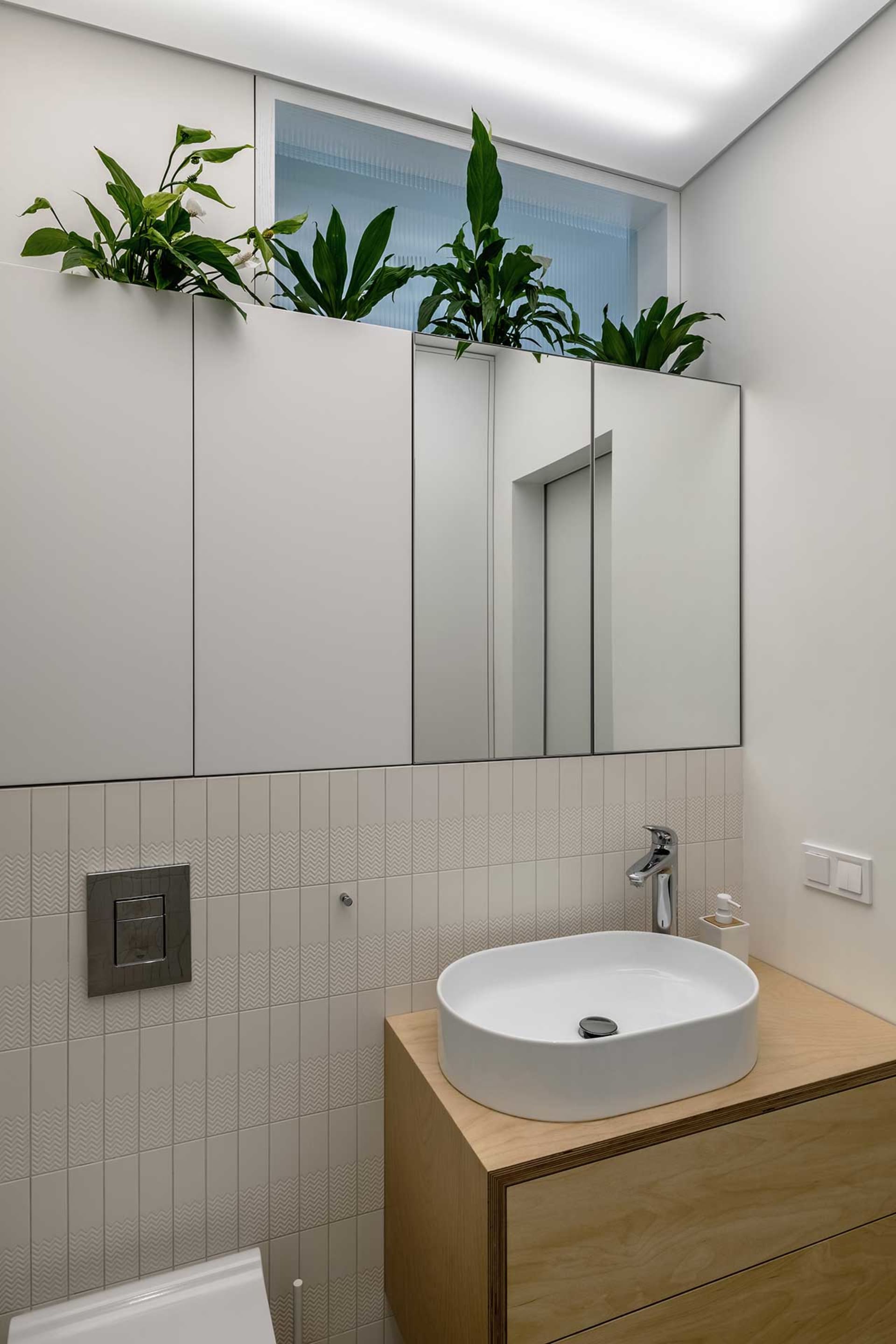 Modern minimalist bathroom with white elements, including sink, mirror cabinet, and green plants.