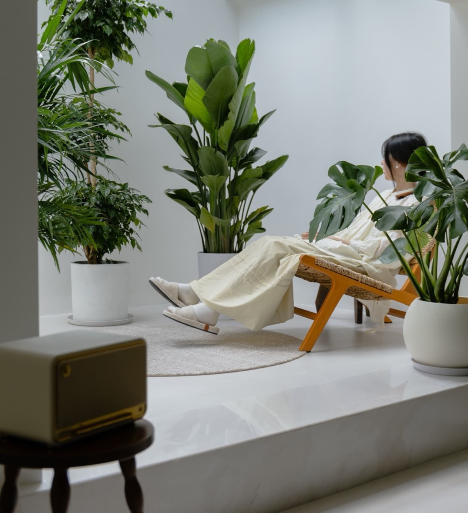 A minimalist living room with large, green potted plants, a woven lounge chair, and a white rug on a white floor.