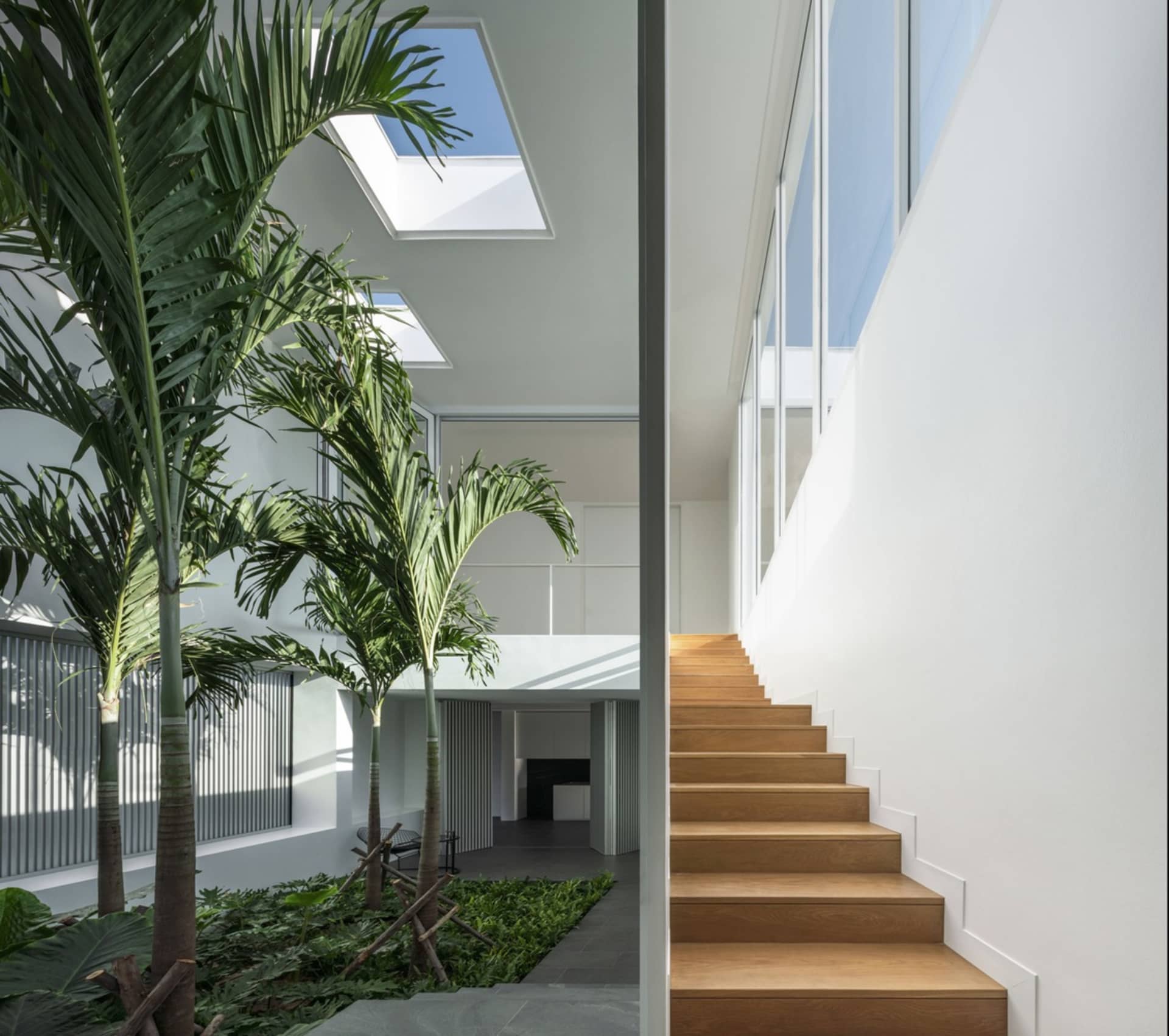 Modern interior courtyard with wooden stairs, glass walls, and green plants