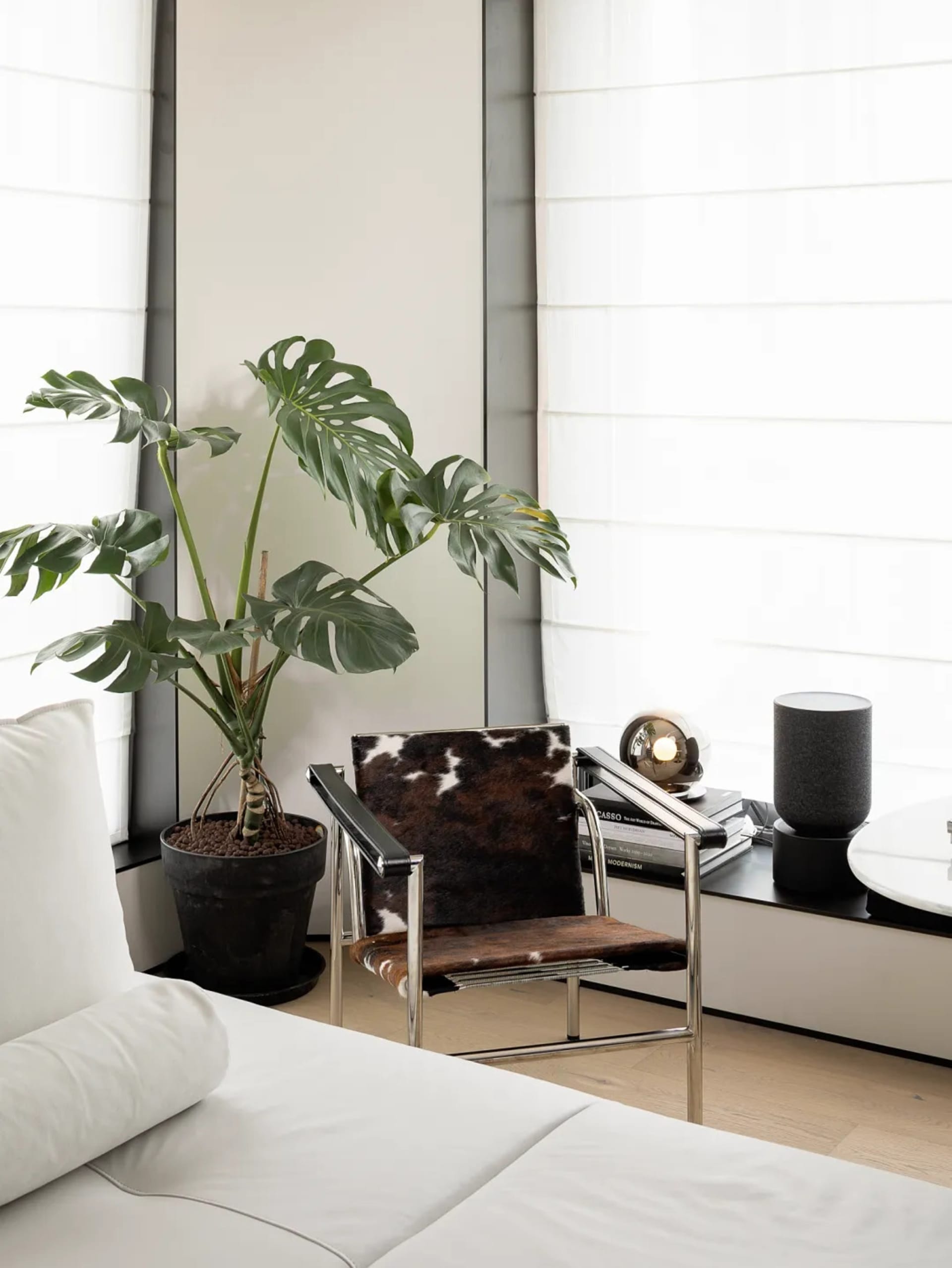 A modern living room featuring a large potted plant, a cowhide armchair, and a wooden floor.