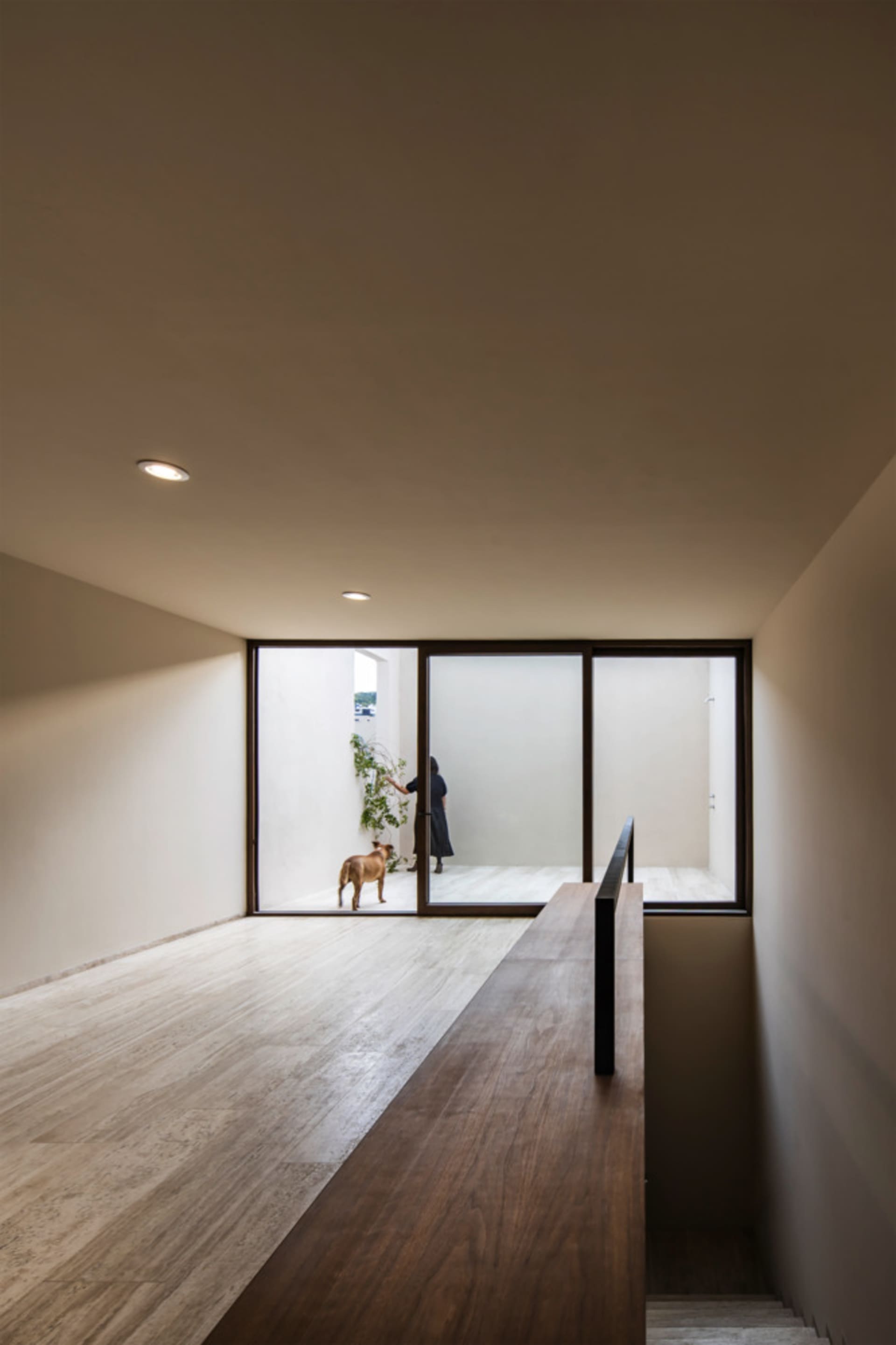 A modern interior with wooden flooring, minimalist design, and a dog in a doorway.