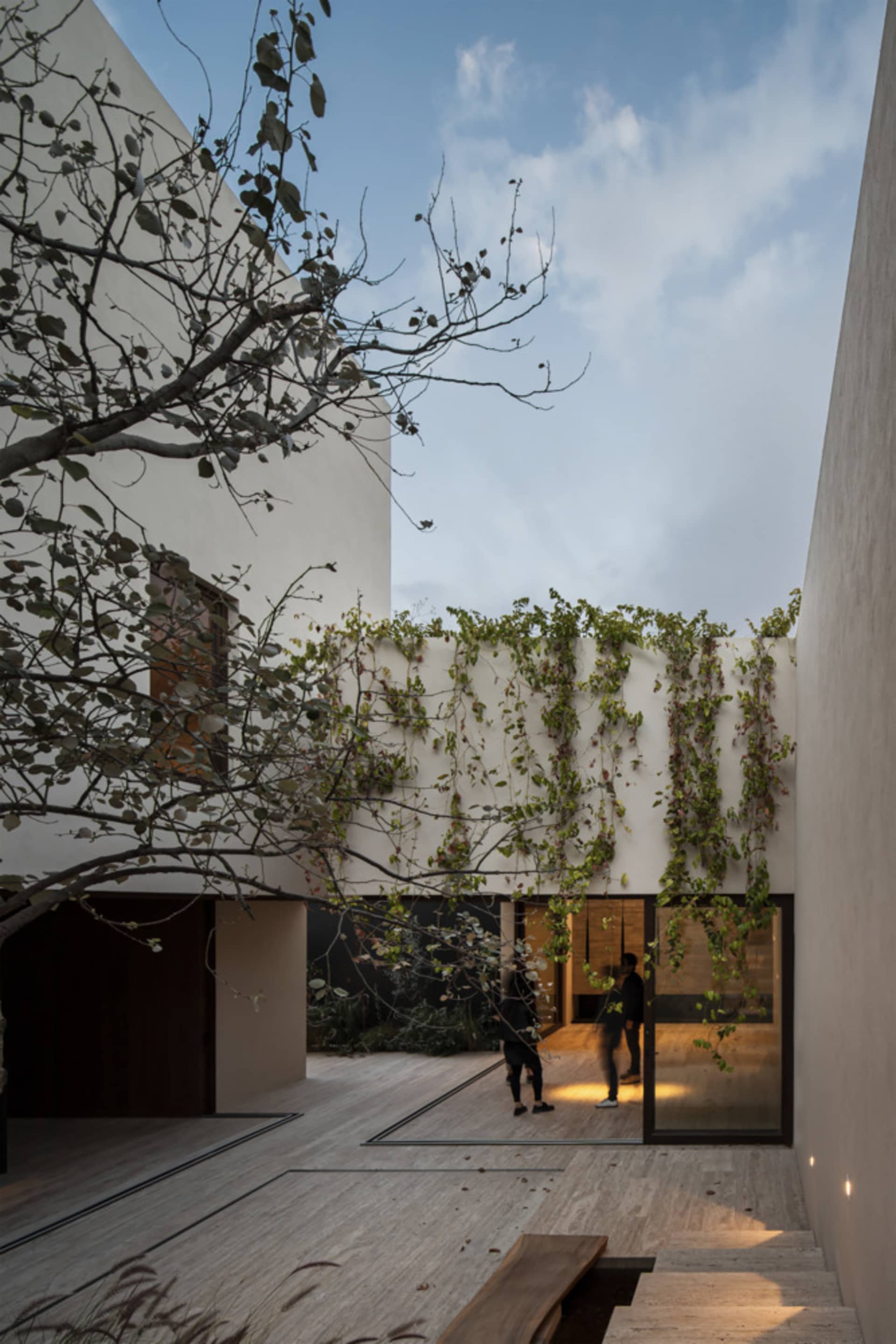 A modern minimalist entrance featuring concrete and glass materials.