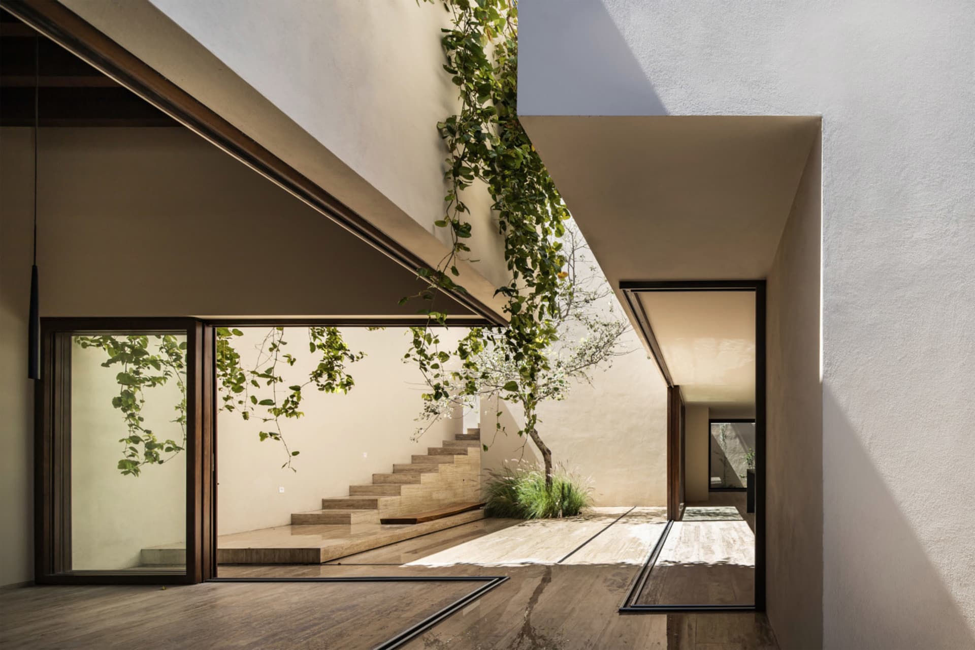 Modern residential space featuring climbing plants on walls