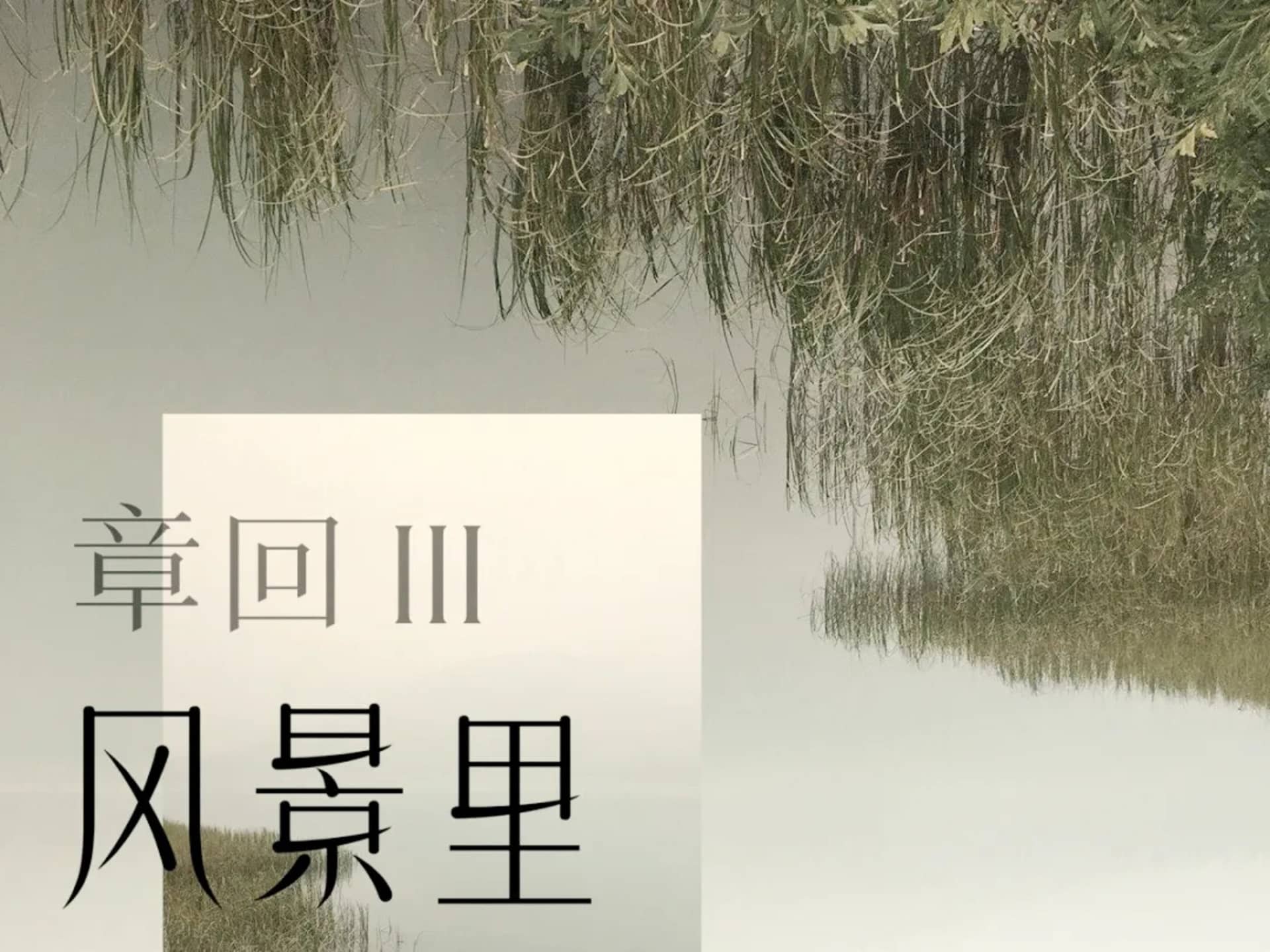 寧靜的水景，平靜的水面倒映著翠綠的植被。