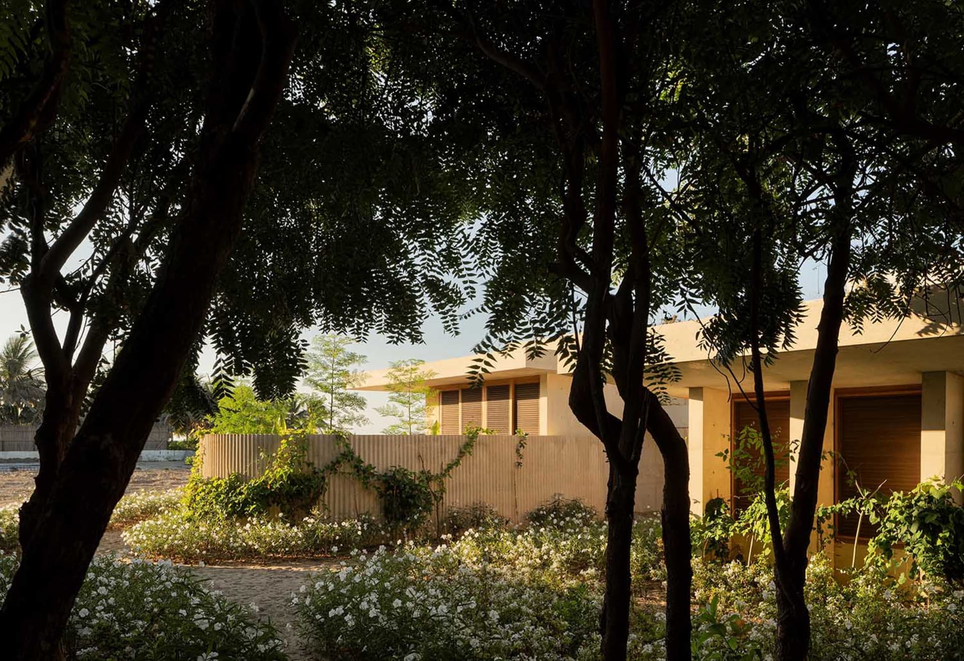 Modern residential architecture with sandstone exterior and lush garden.