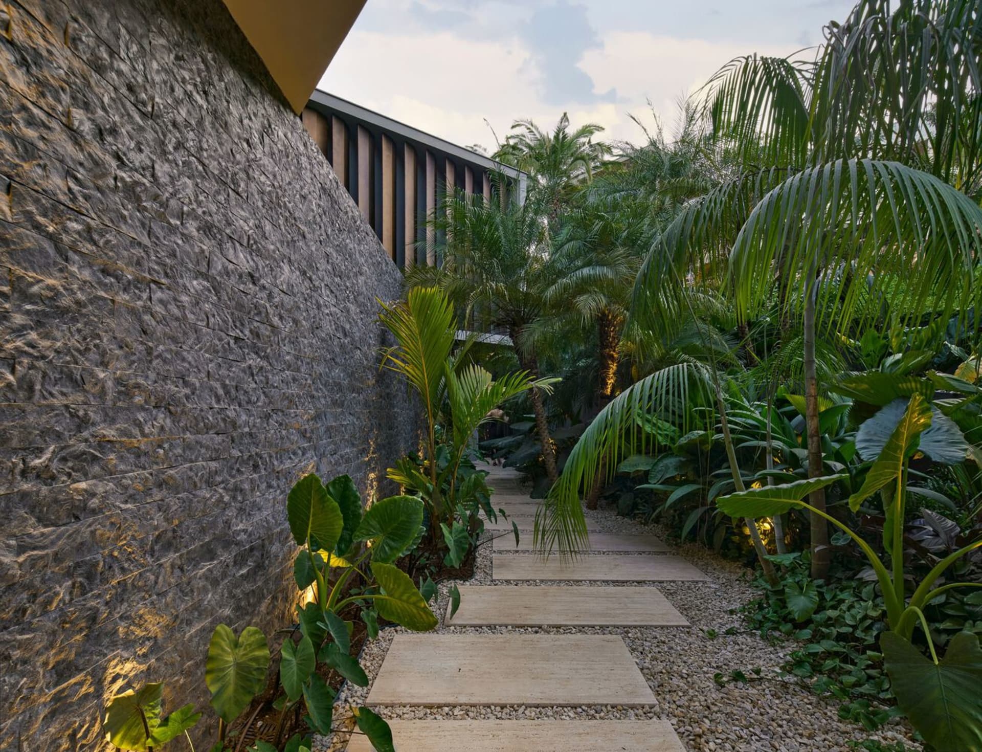 A concrete road bordered by gravel and surrounded by plants and palm trees.