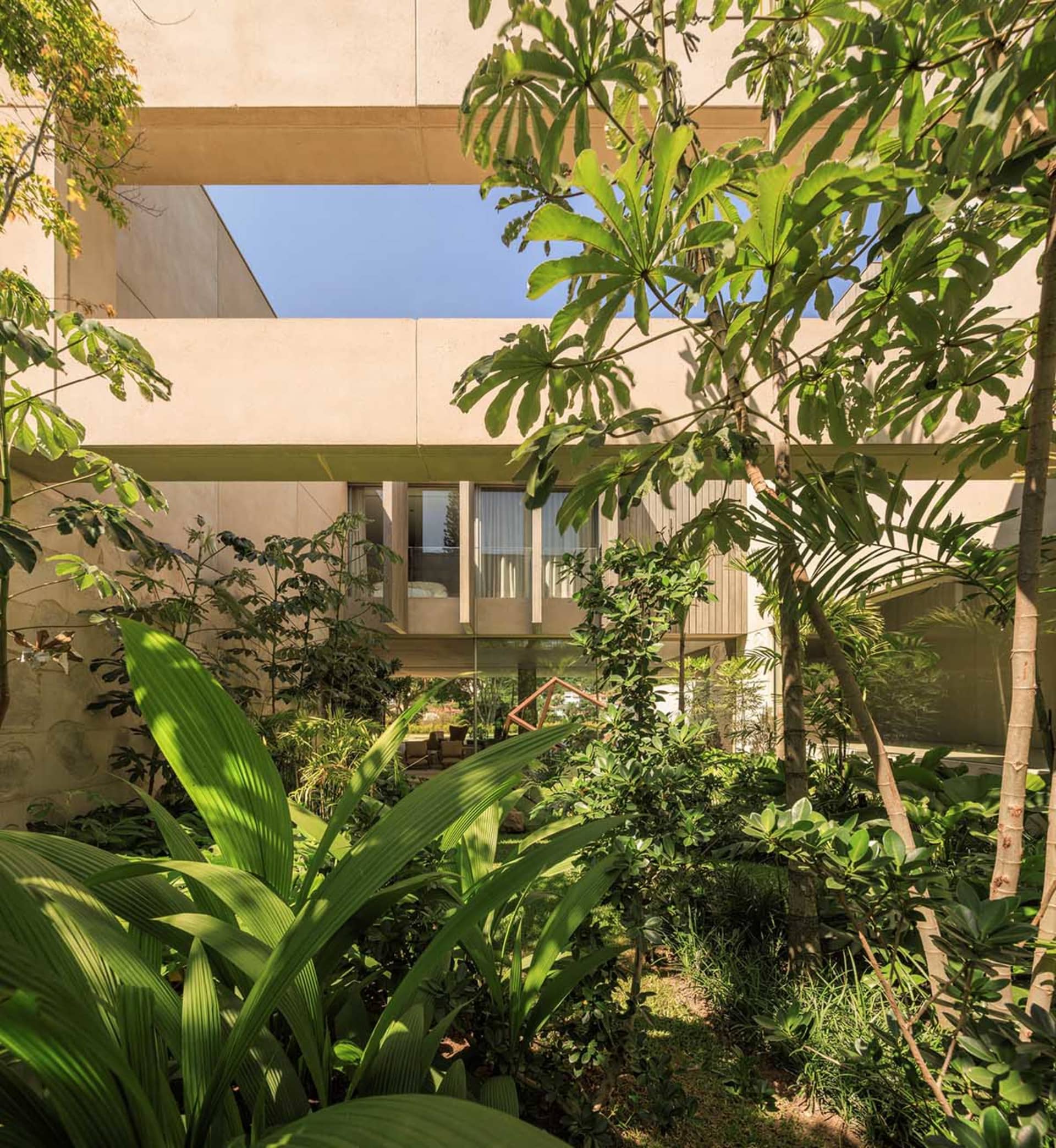 View of a modern interior design featuring lush green plants and natural light, with a focus on sustainable and eco-friendly