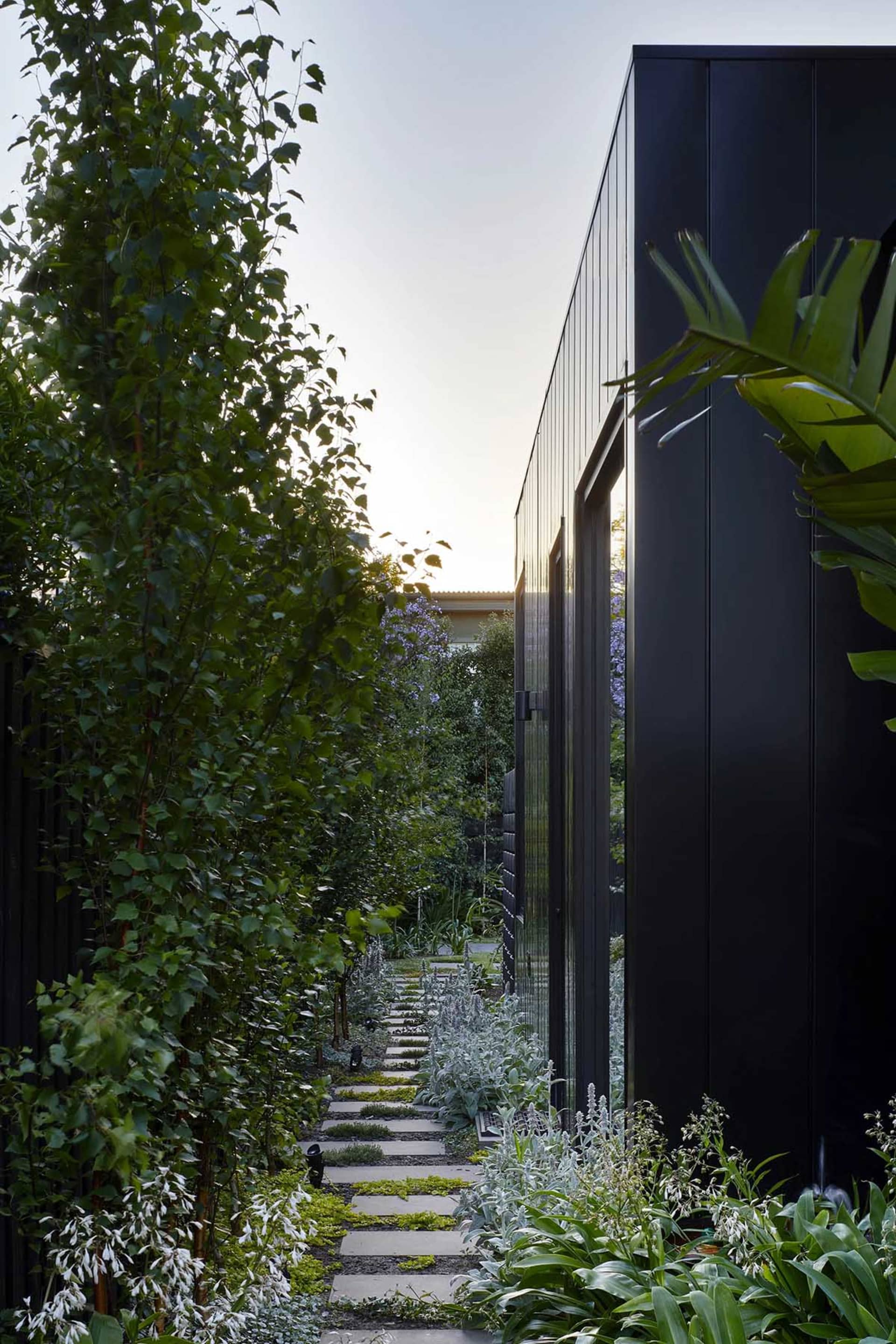 Concrete pavers and gravel framed by greenery in a modern exterior pathway setting