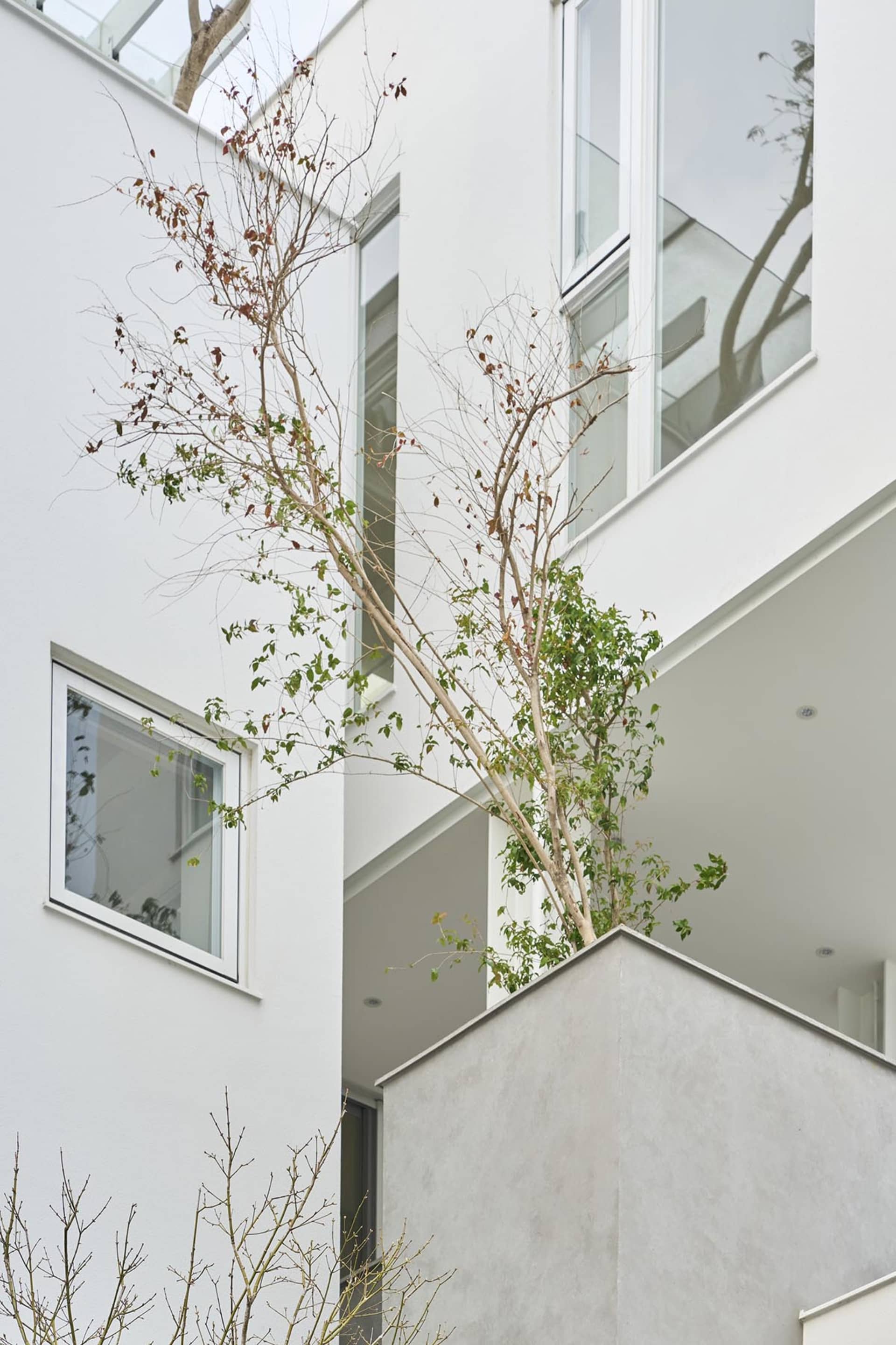 Modern residential exterior featuring concrete and glass materials with native plantings.