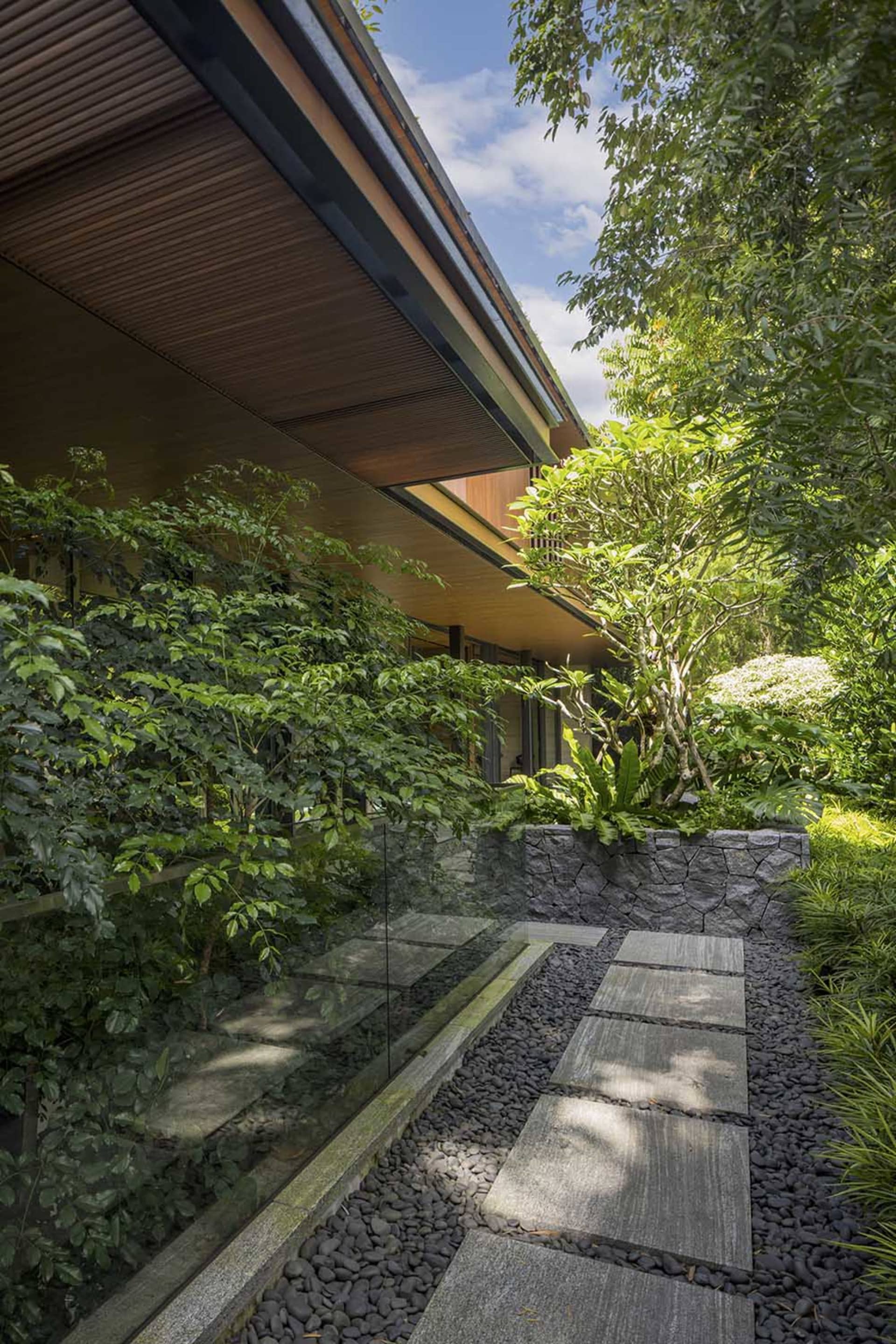 Modern garden with a stone pathway bordered by small rocks and lush greenery.