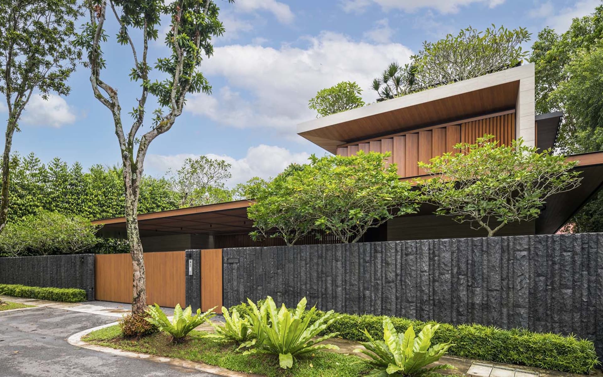 Modern house exterior with wooden accents, concrete walls, and green foliage