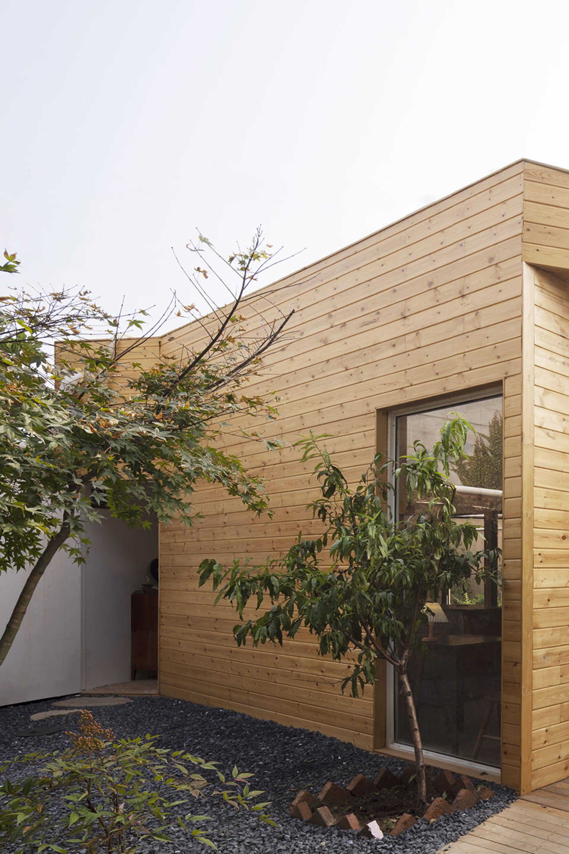 A modern suburban exterior featuring wooden-paneled walls and a small tree planted near a window.