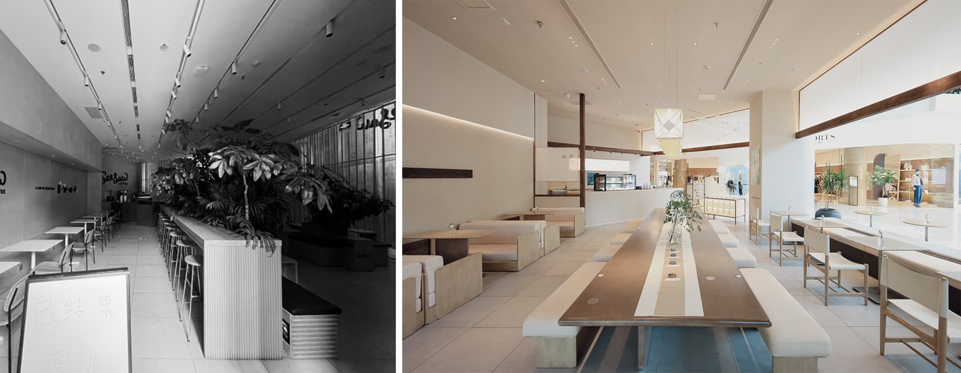 Sophisticated Dining Interior 4