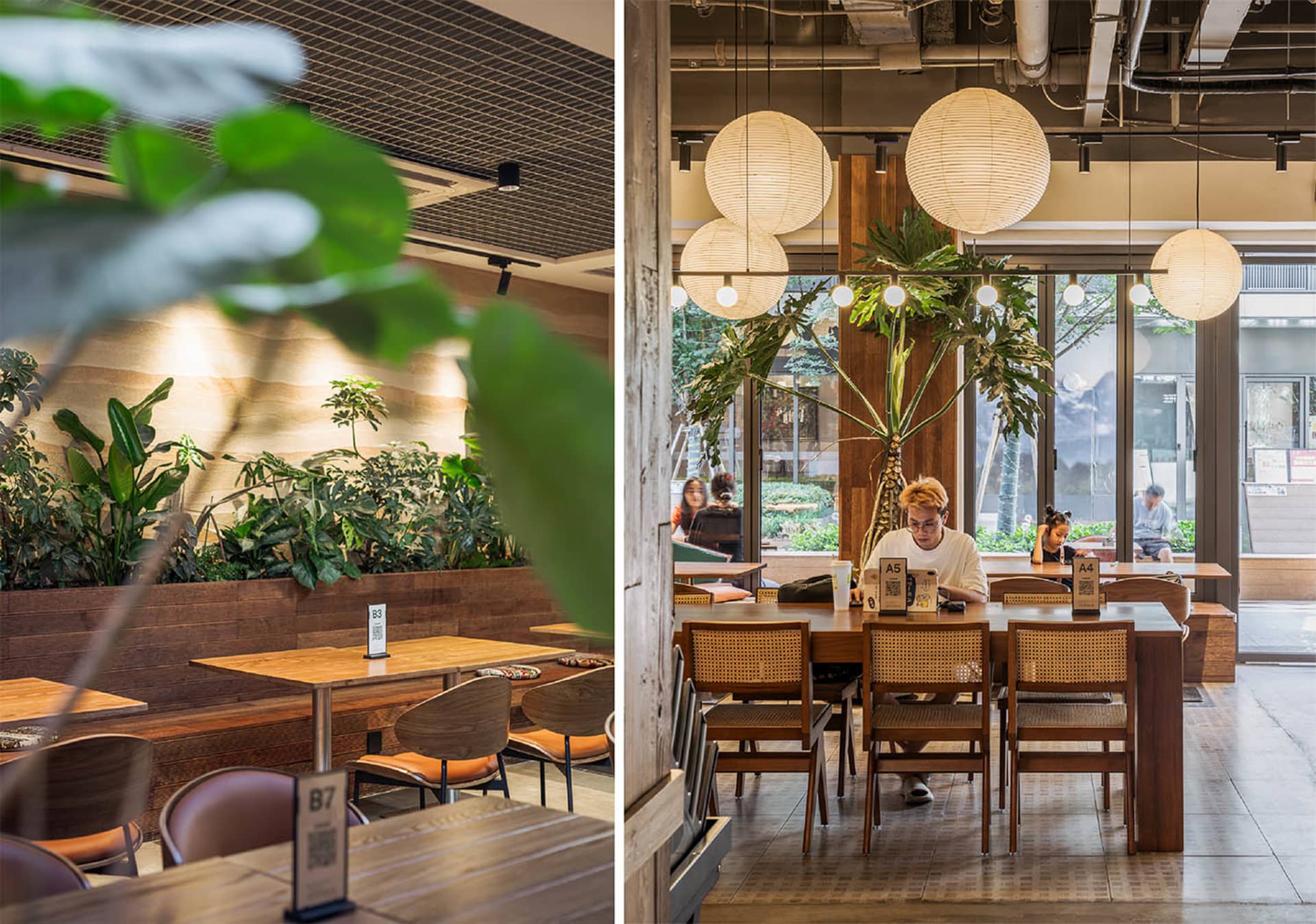 A cafe interior with wooden furniture and green plants.