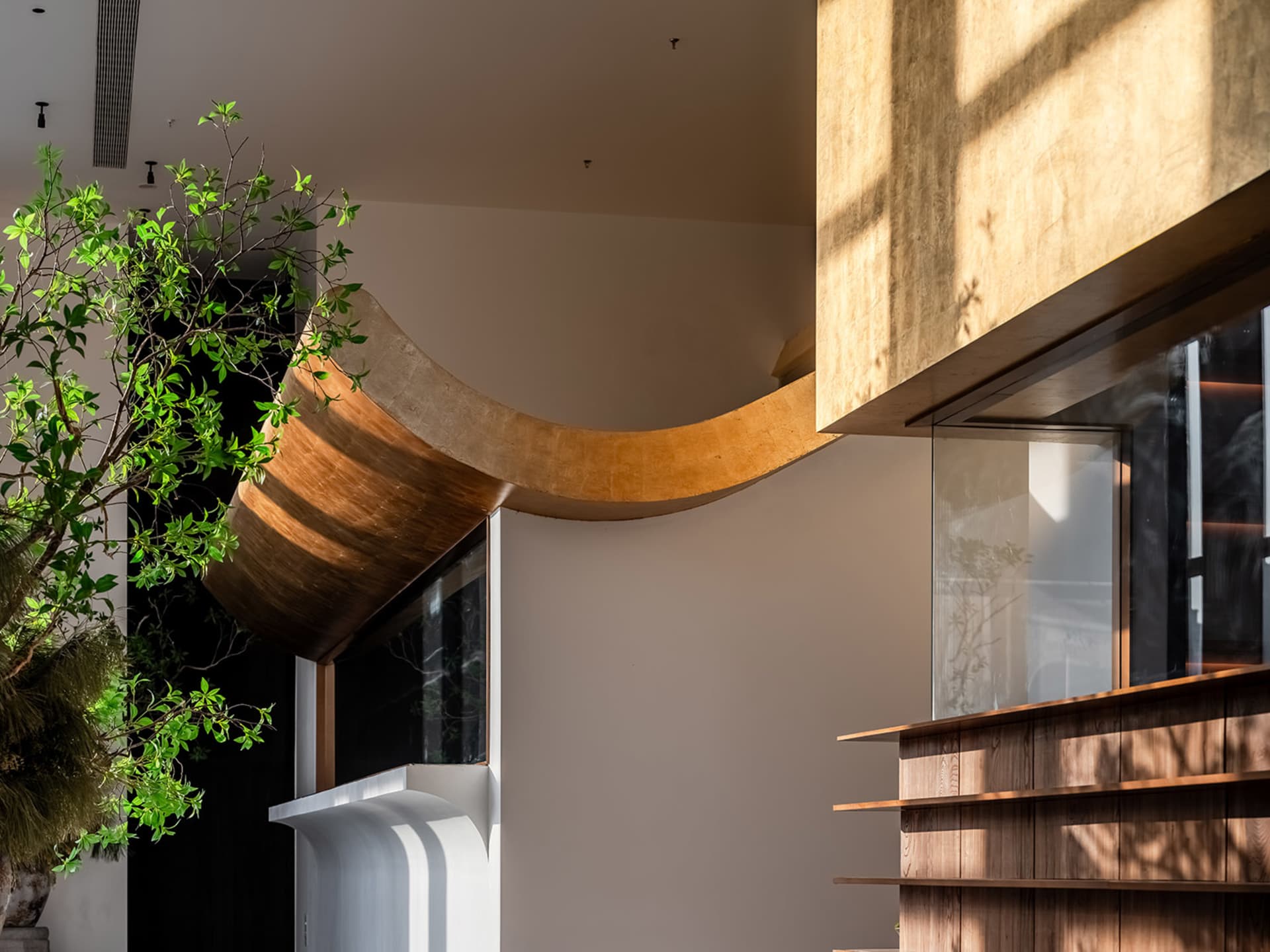 Modern interior design featuring a curved wooden corridor with natural light streaming in through large windows.