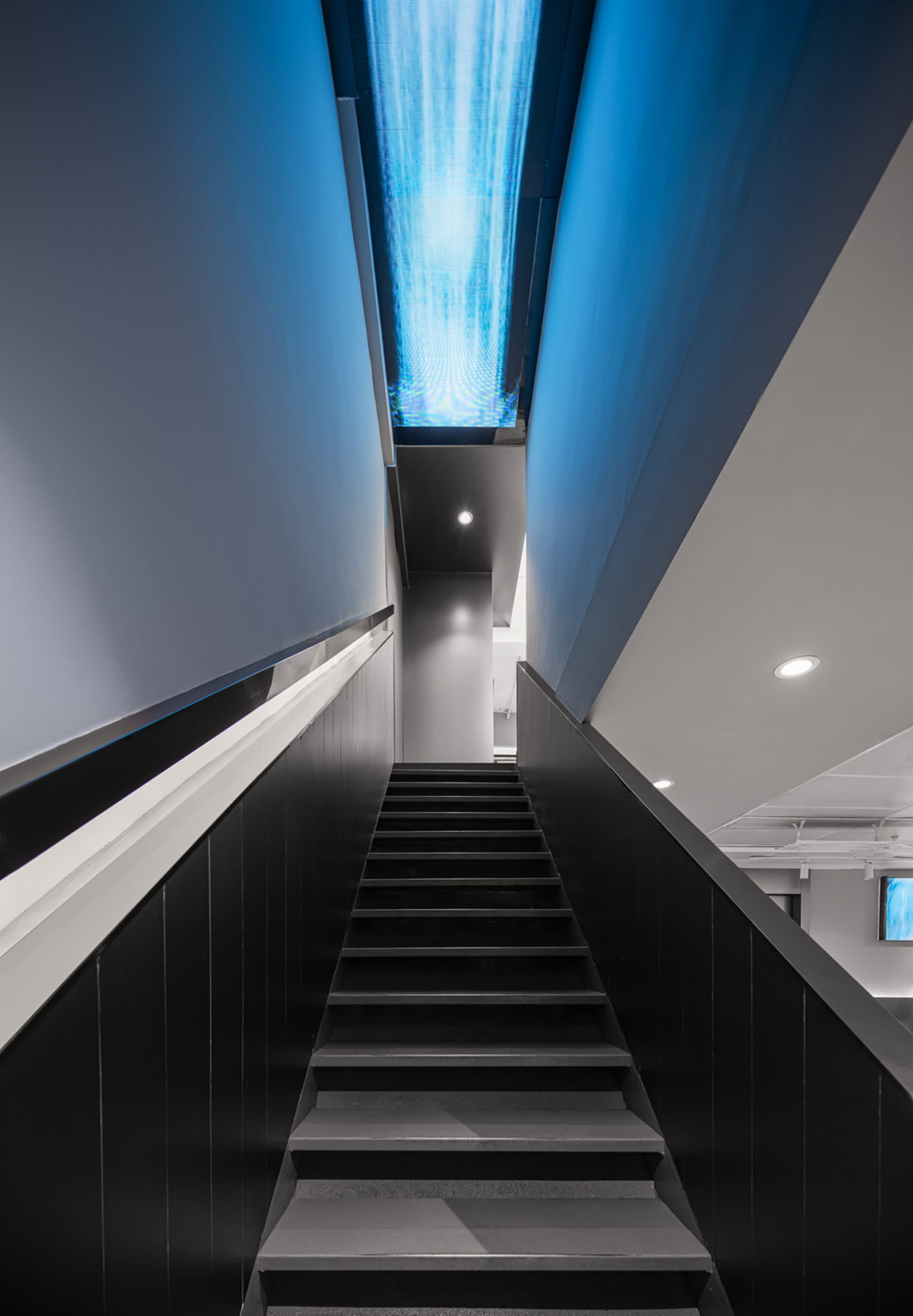 Luxurious Dining Project 4