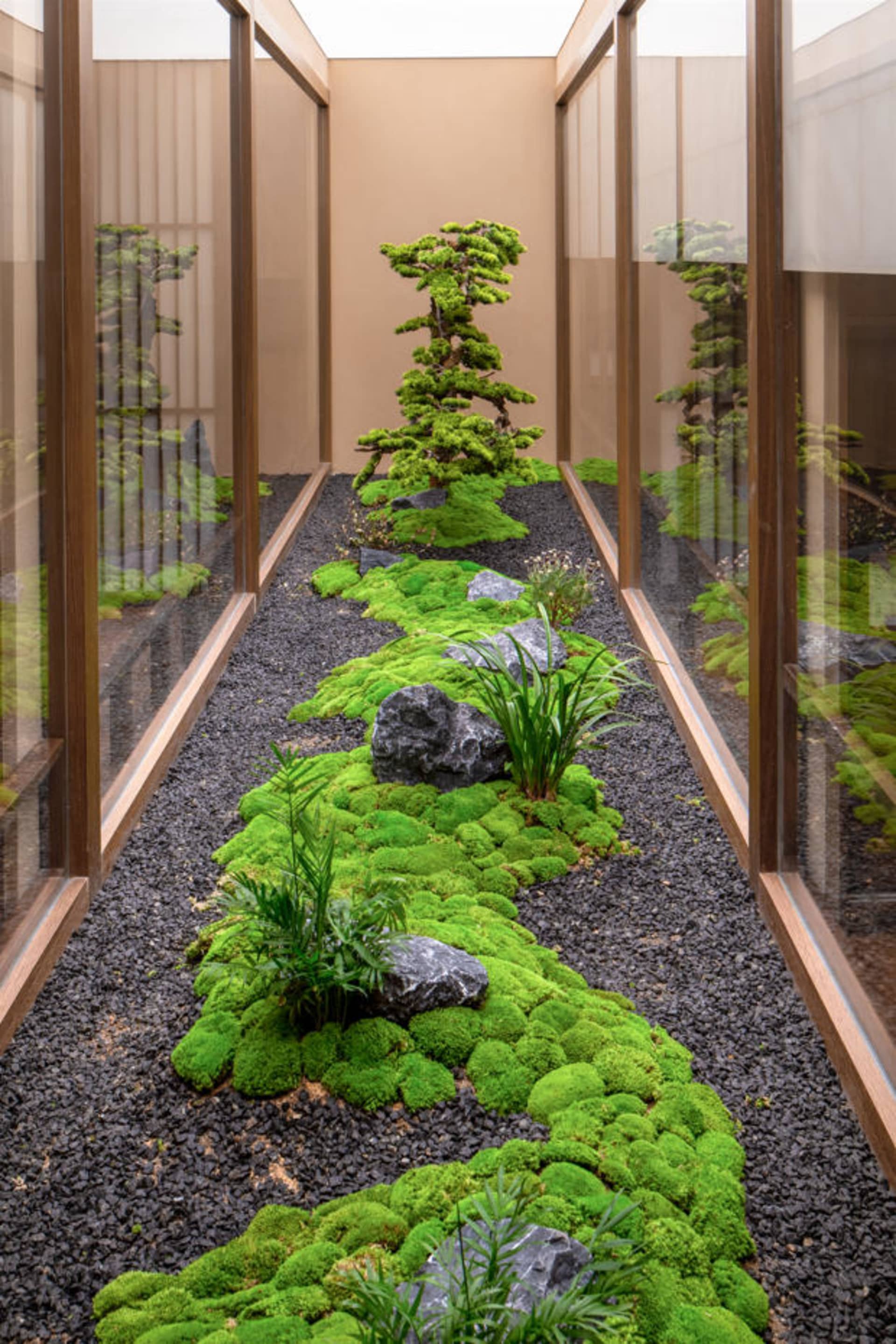 一條現代室內花園步道,佈滿青苔、岩石與植物。