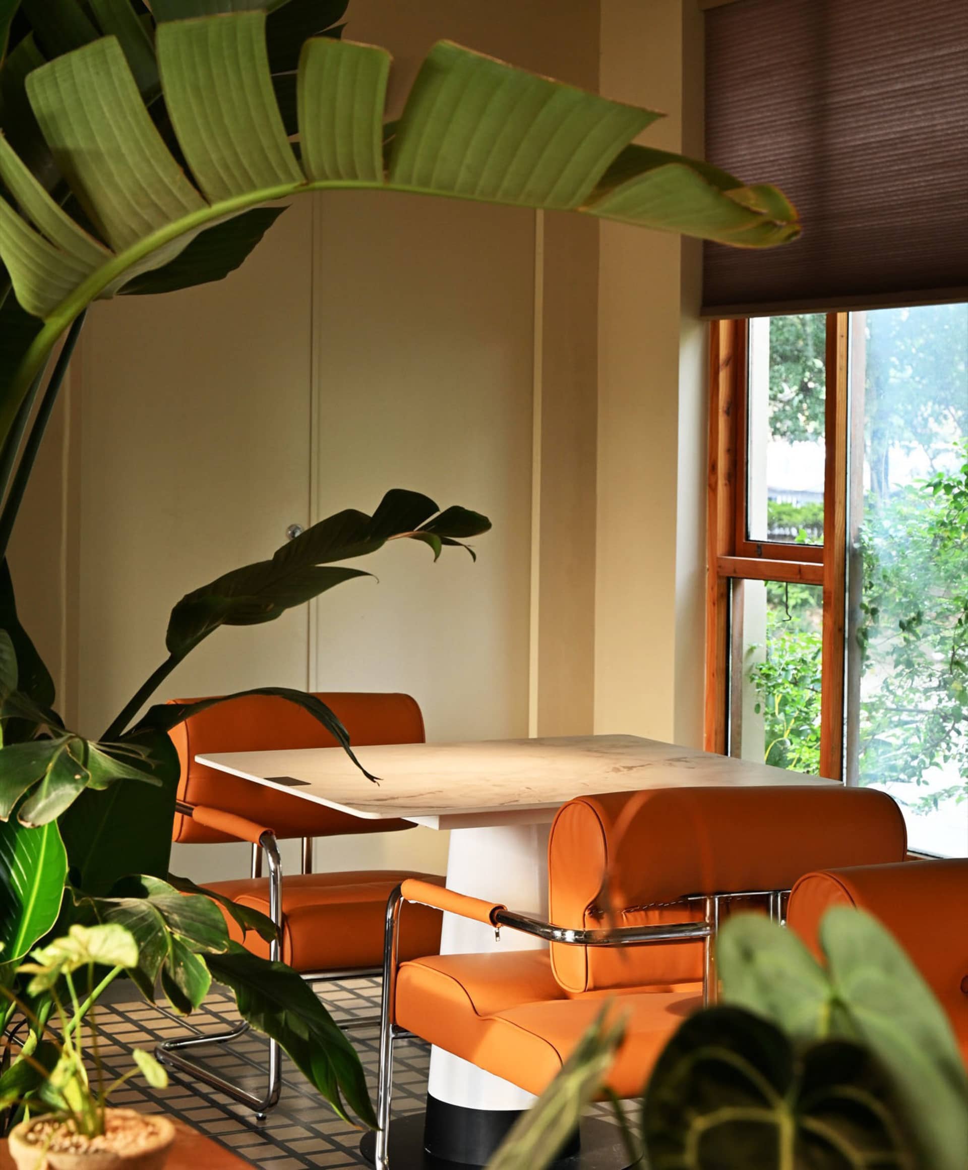 Luxurious Living Room Project 1