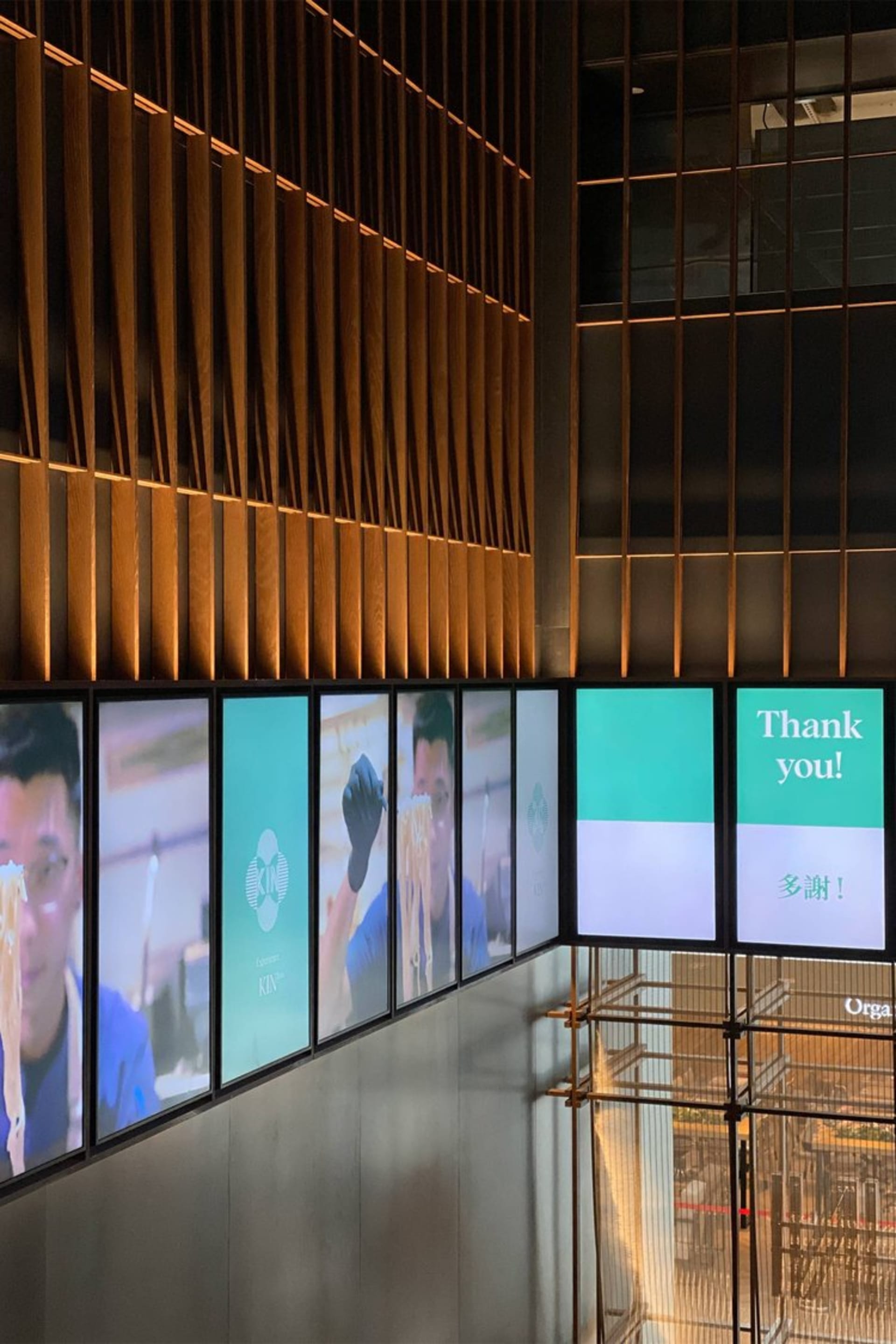 Minimalist Dining Collection 2