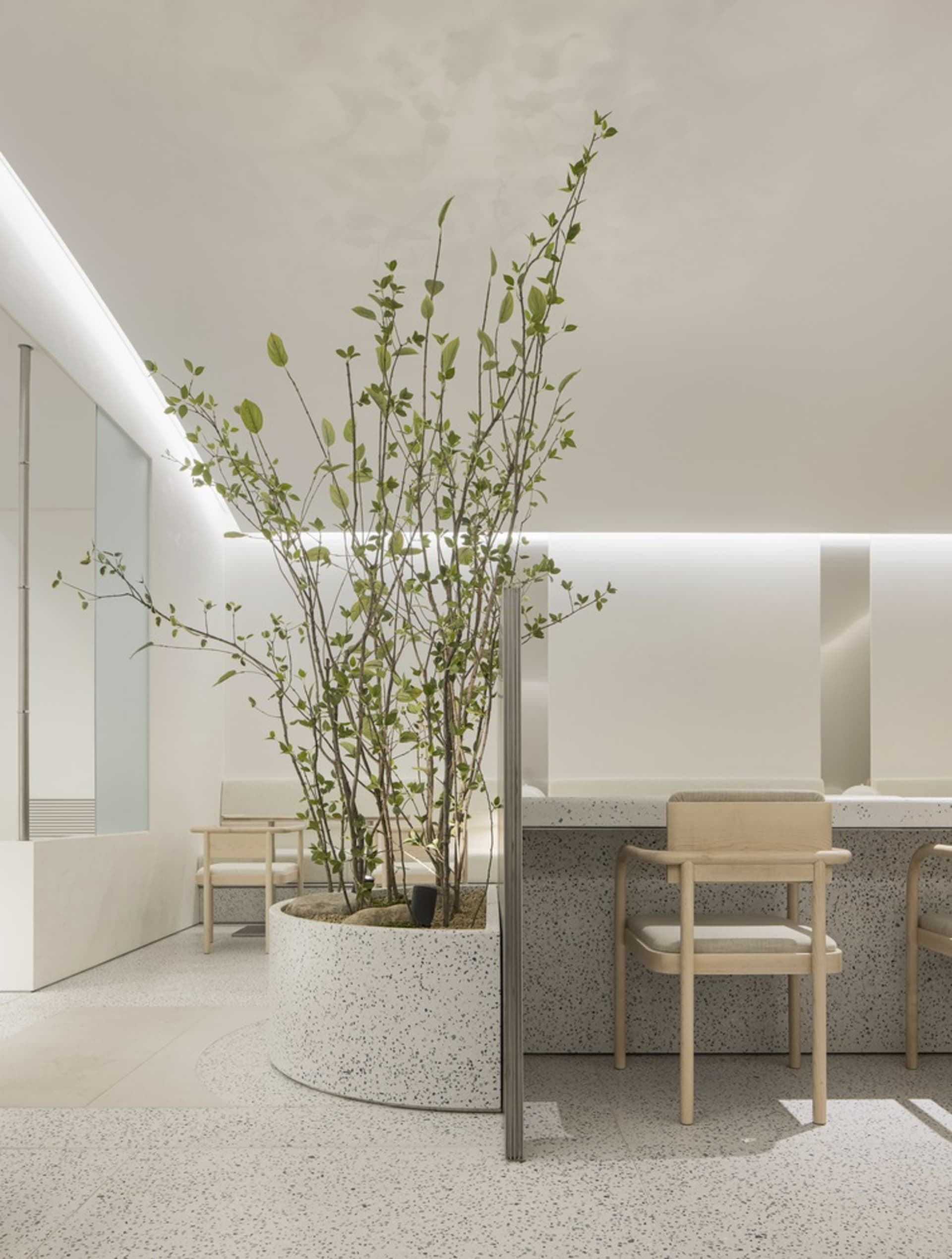 Luxurious Dining Interior 4