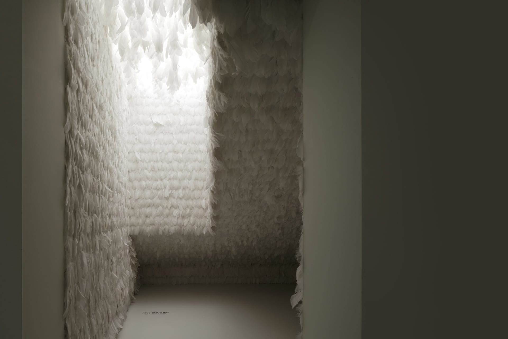 A minimalist interior space adorned with white feathers, featuring a small window allowing natural light to filter in.